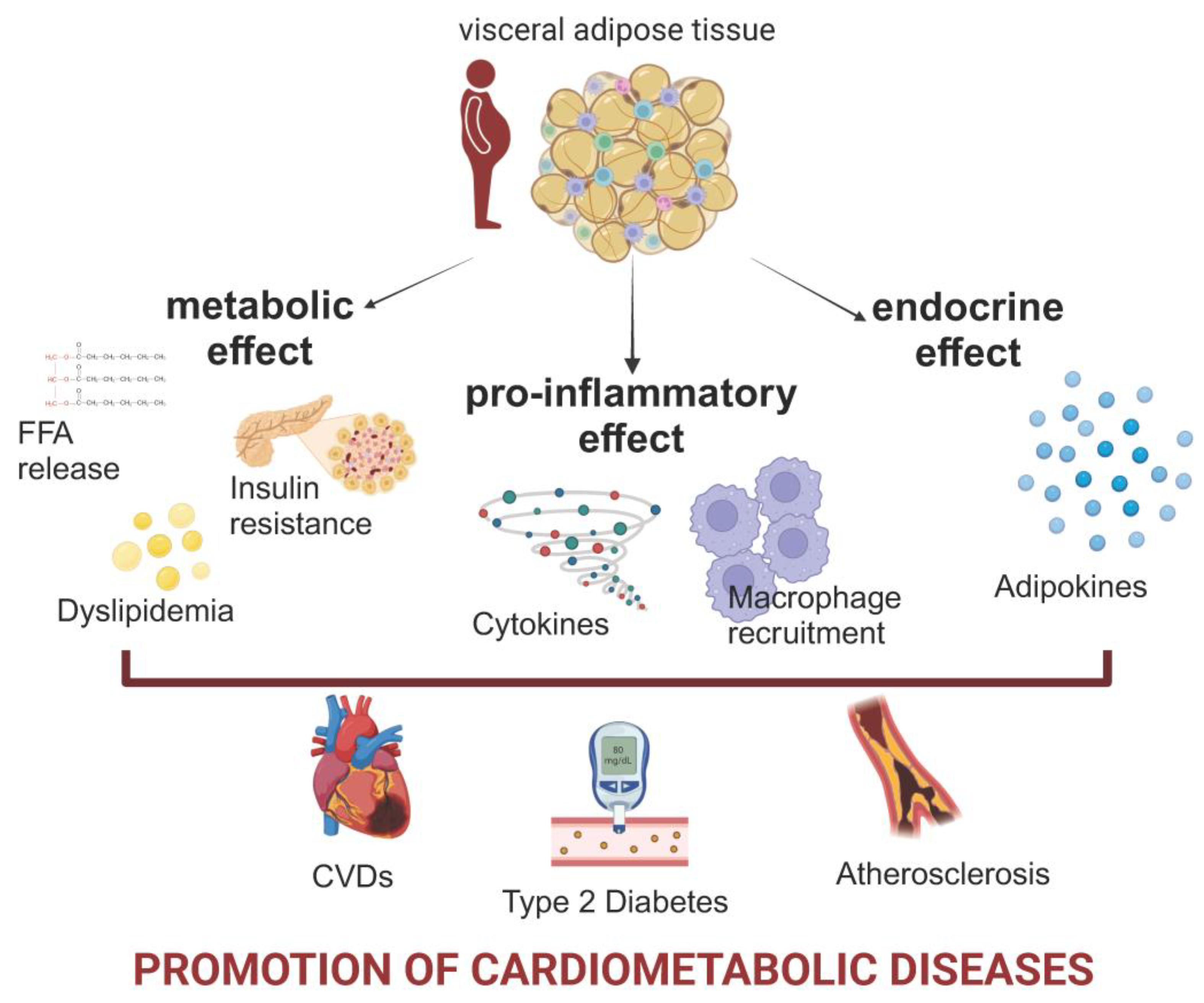 Nutrients 16 04204 g001