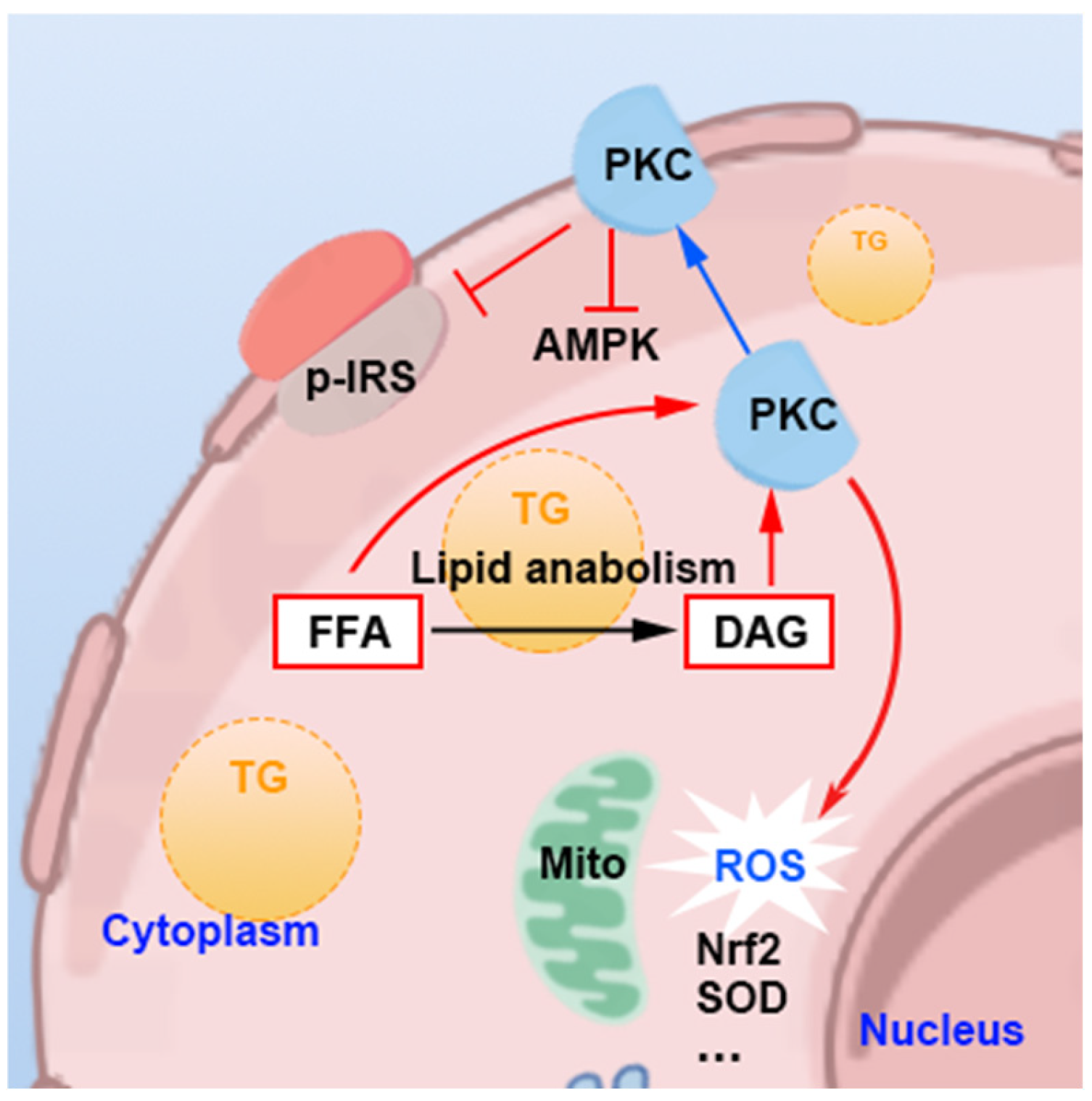 Nutrients 16 04208 g005