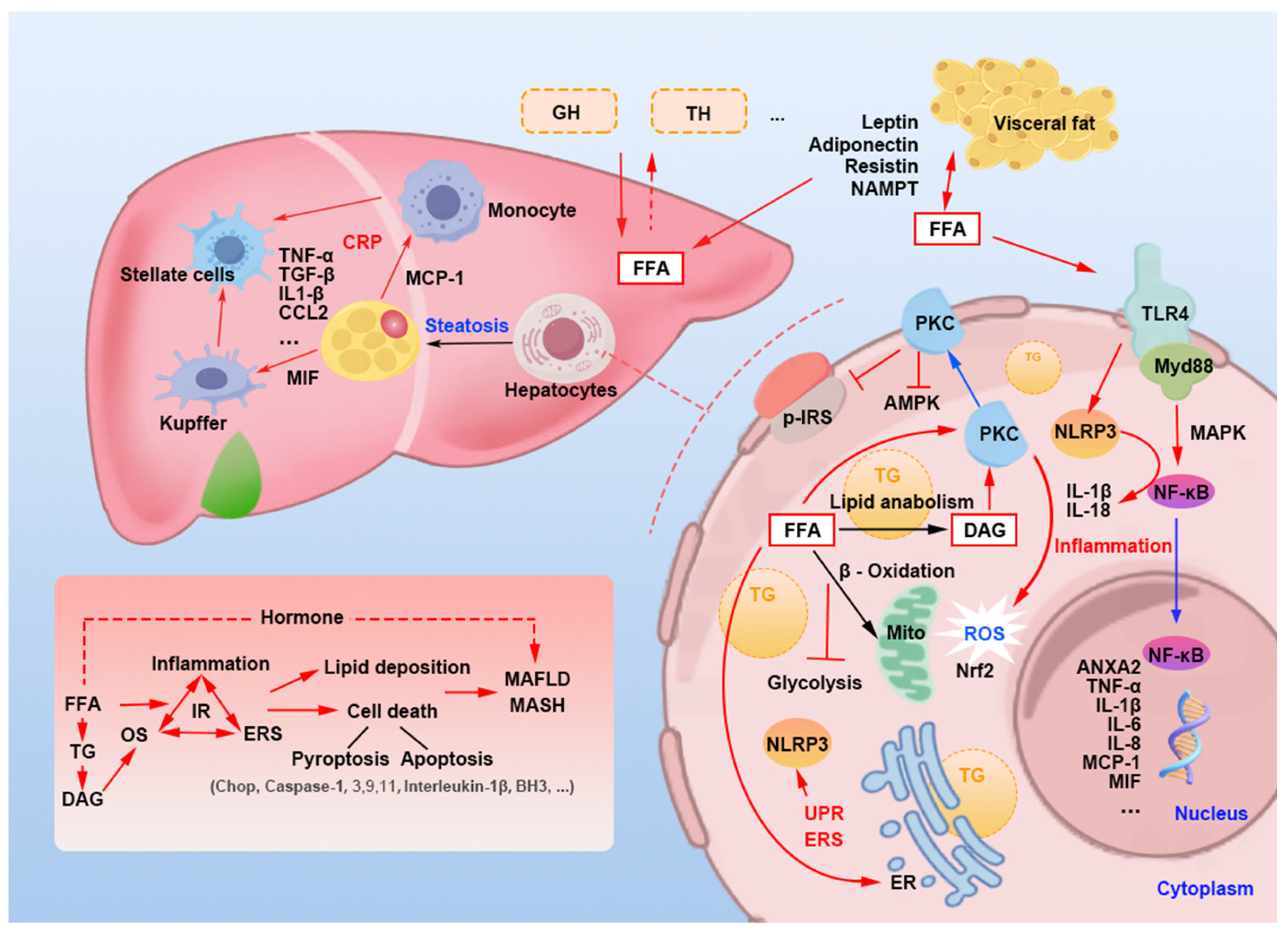 Nutrients 16 04208 g007