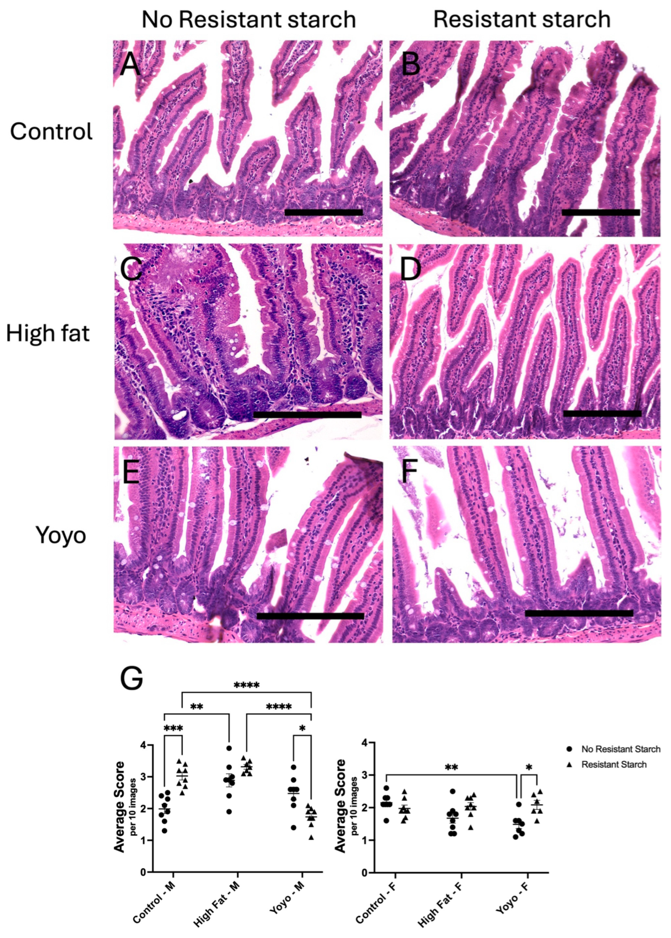 Nutrients 16 04216 g002 Nutrients 16 04216 g002