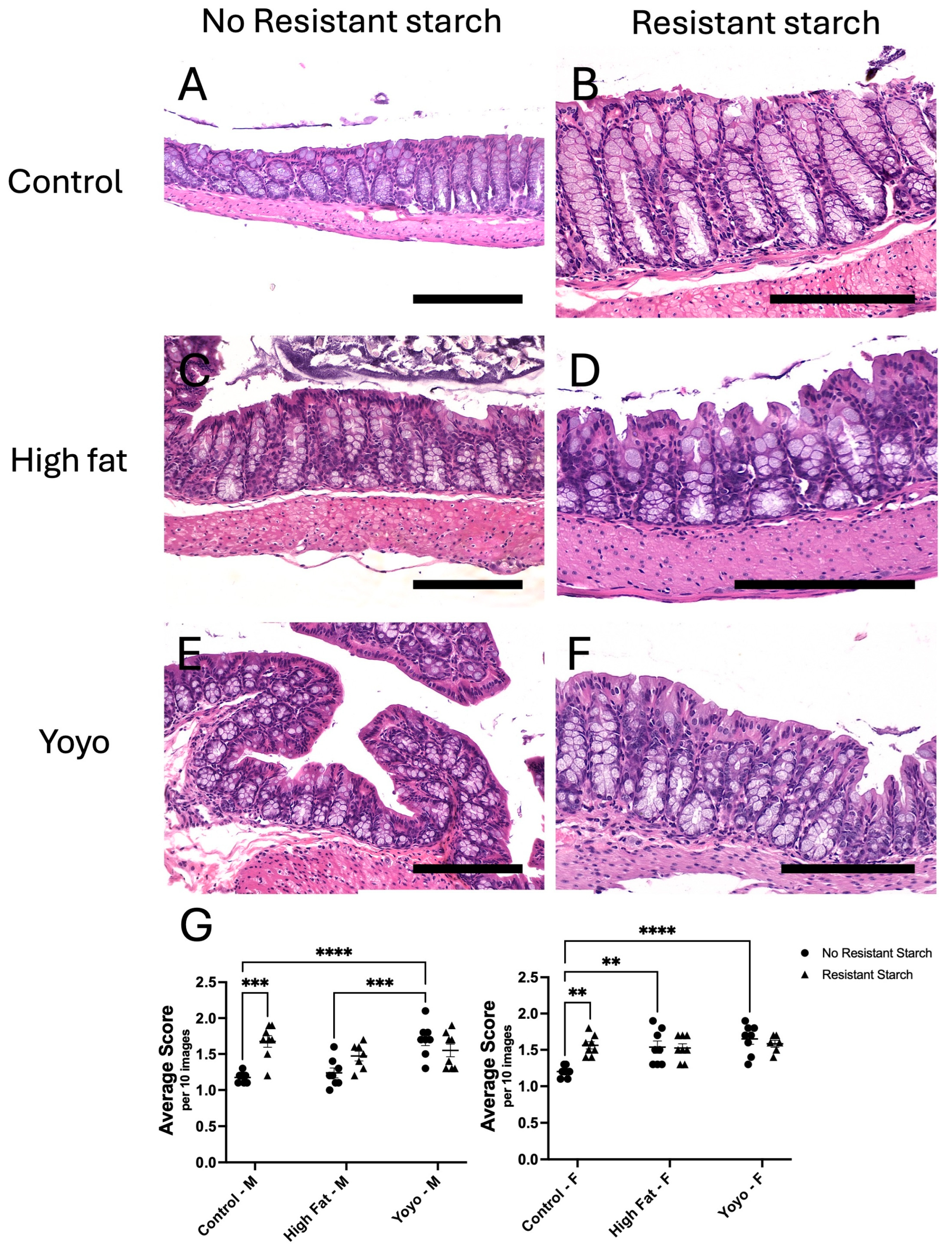 Nutrients 16 04216 g006 Nutrients 16 04216 g006