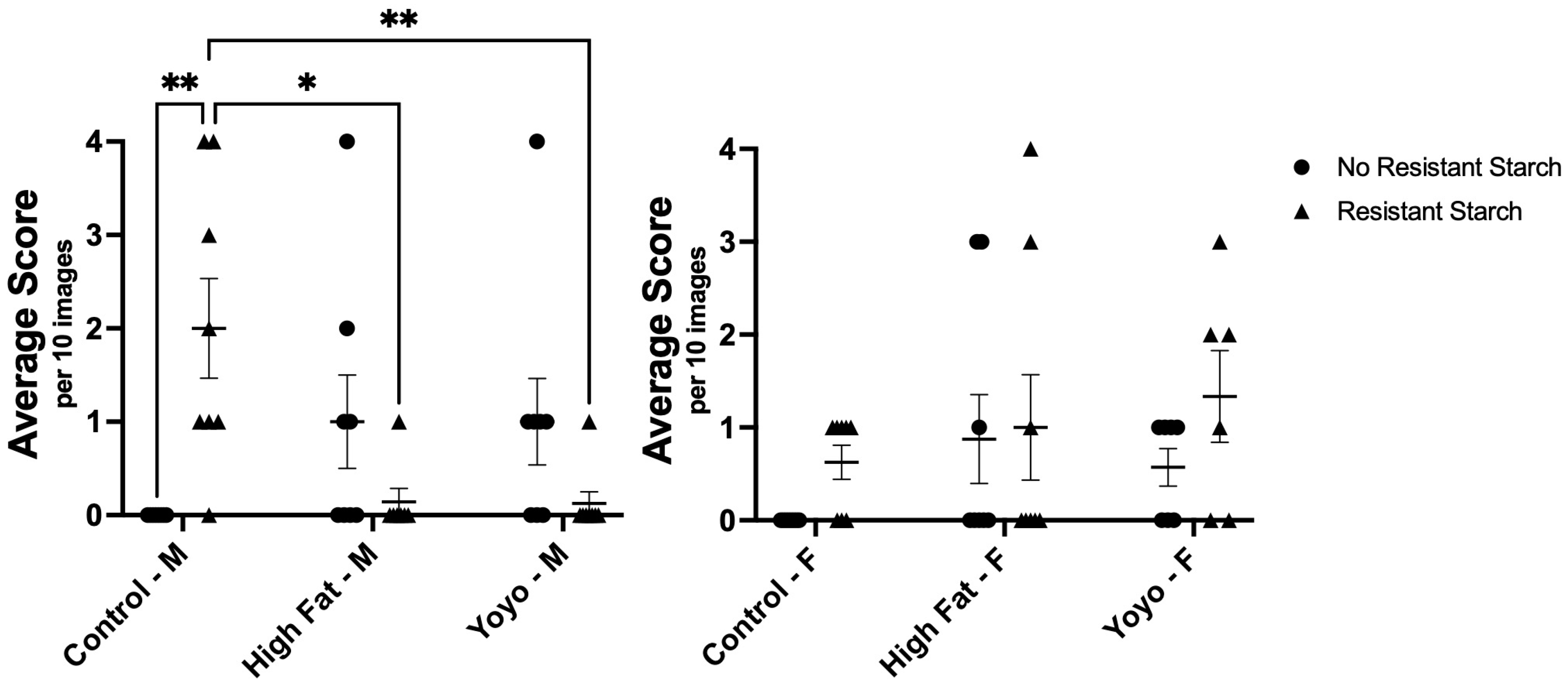 Nutrients 16 04216 g007 Nutrients 16 04216 g007