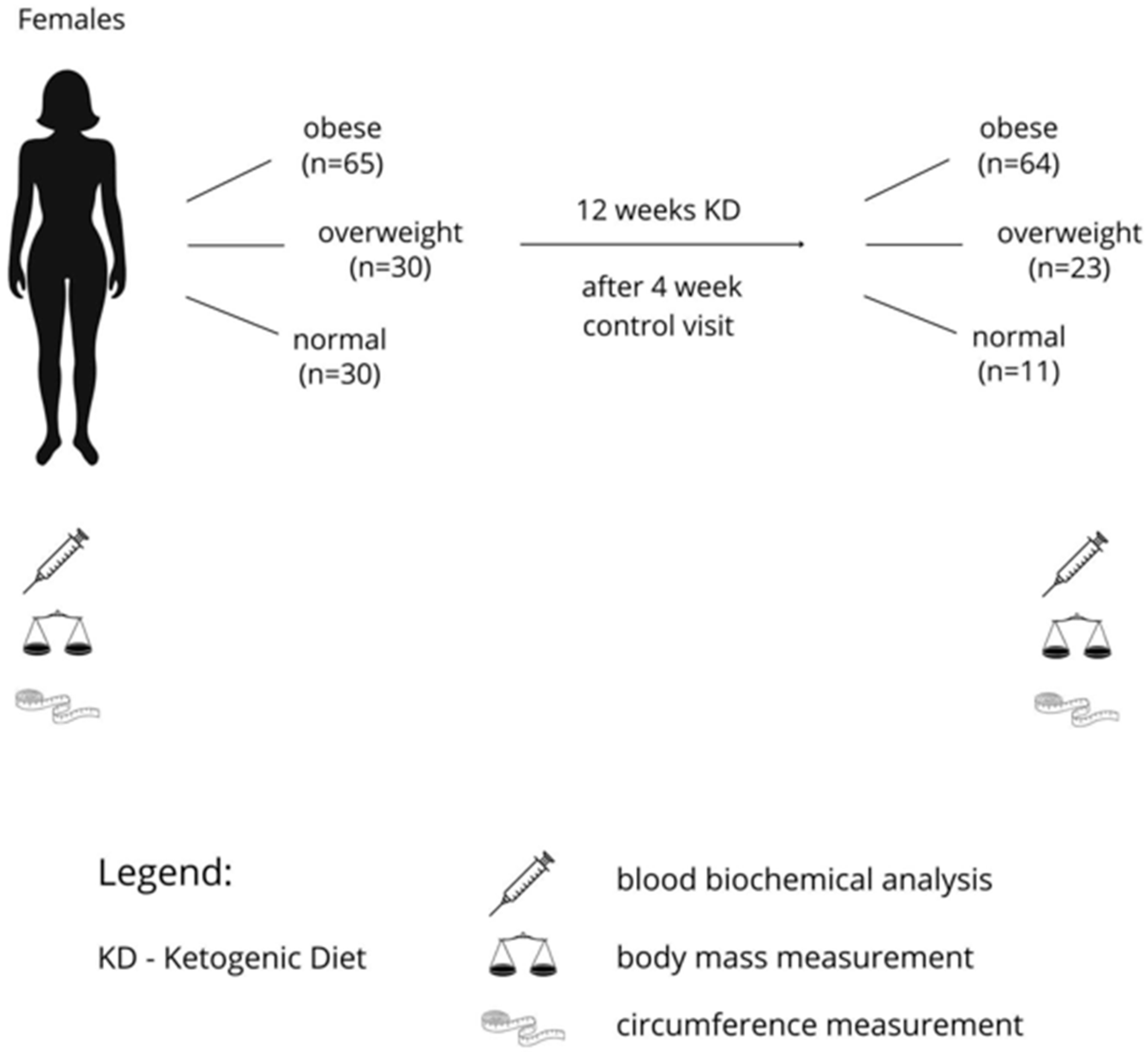 Nutrients 16 04218 g001