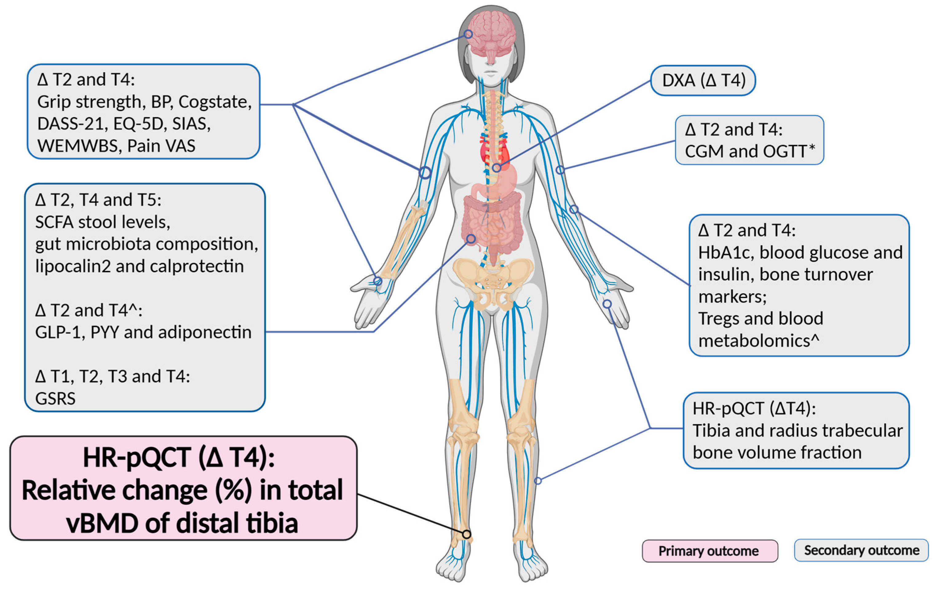 Nutrients 16 04219 g003