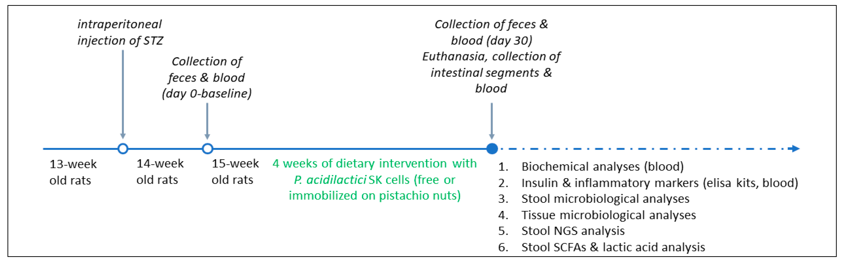 Nutrients 16 04221 g001