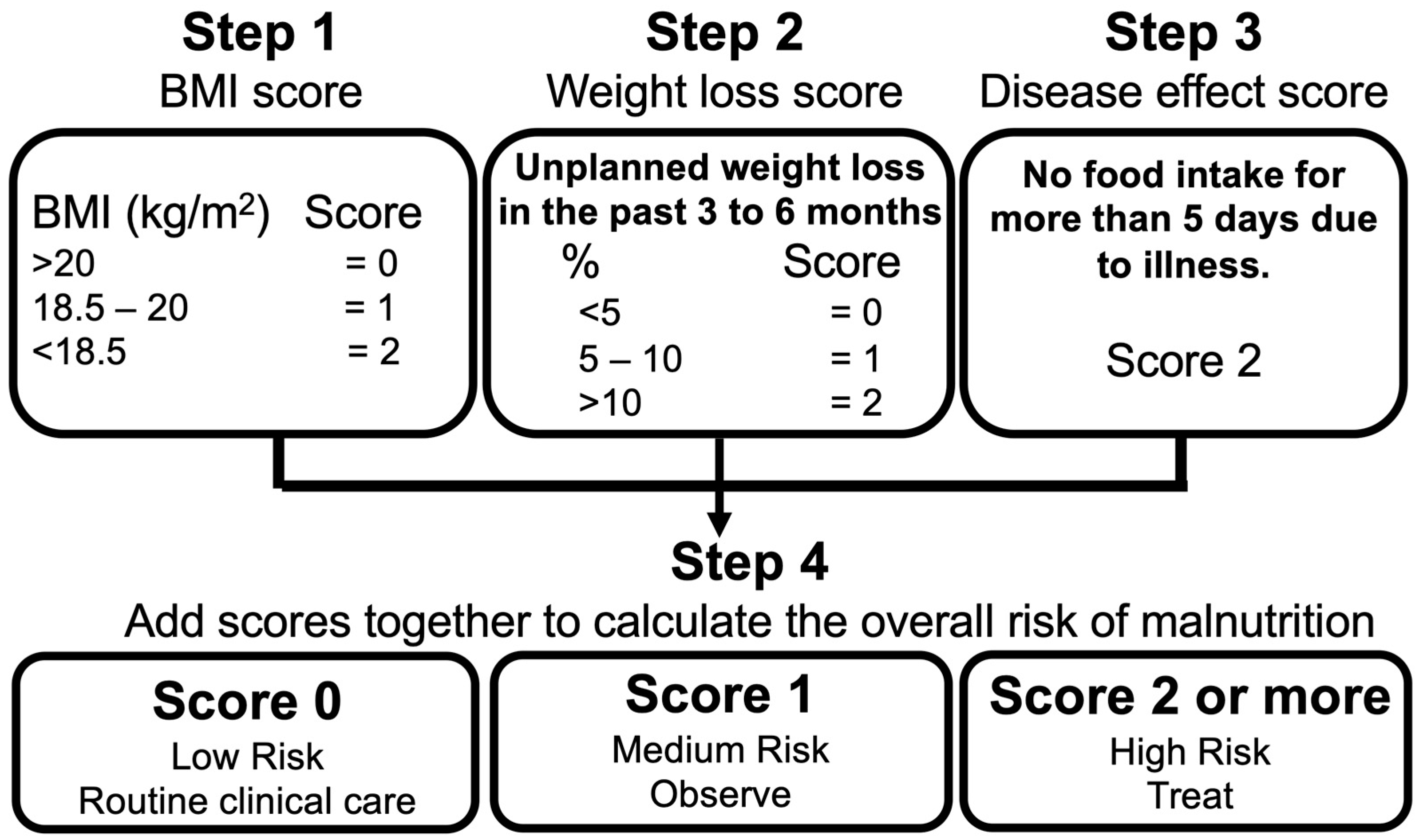 Nutrients 16 04234 g001