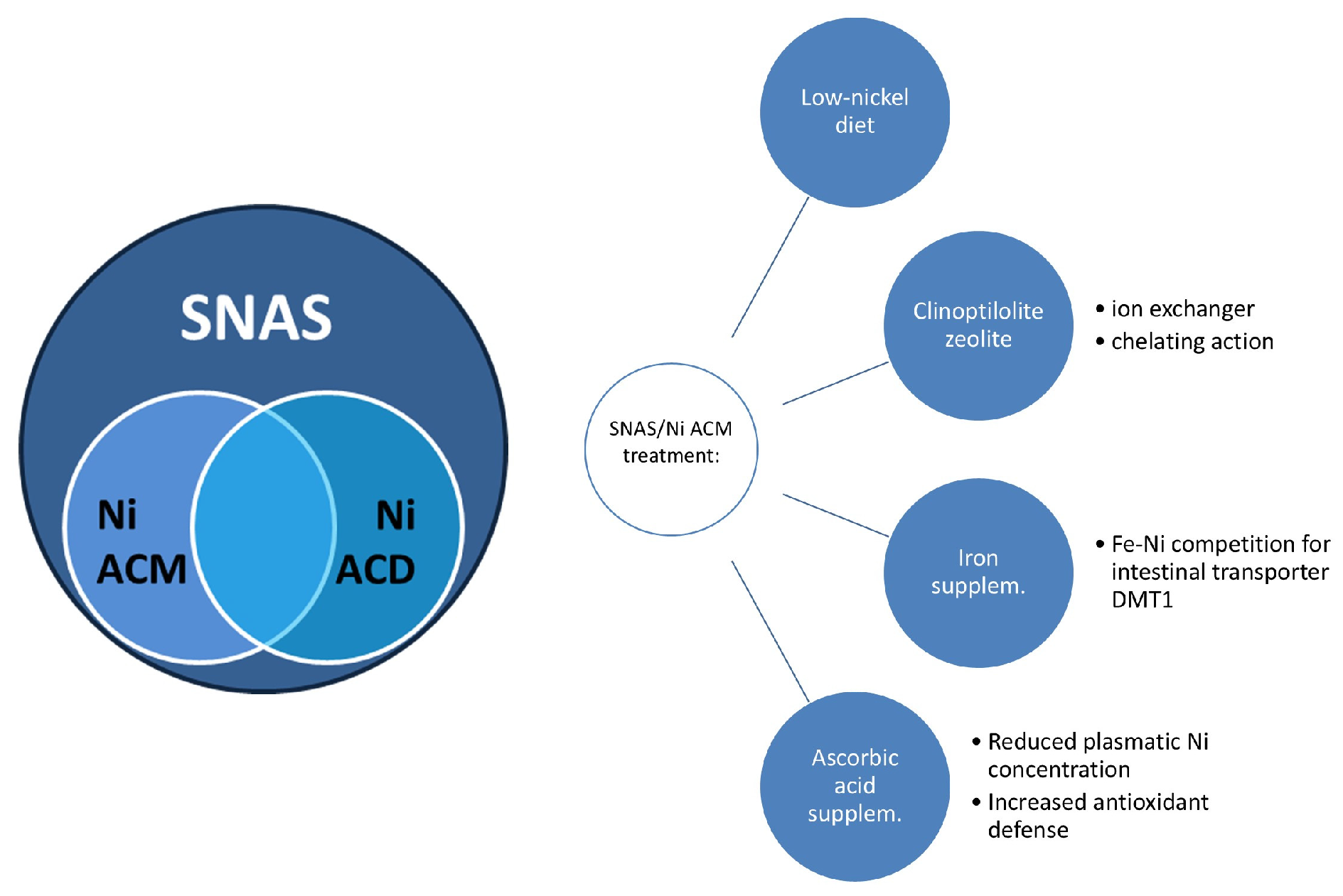 Nutrients 16 04236 g002