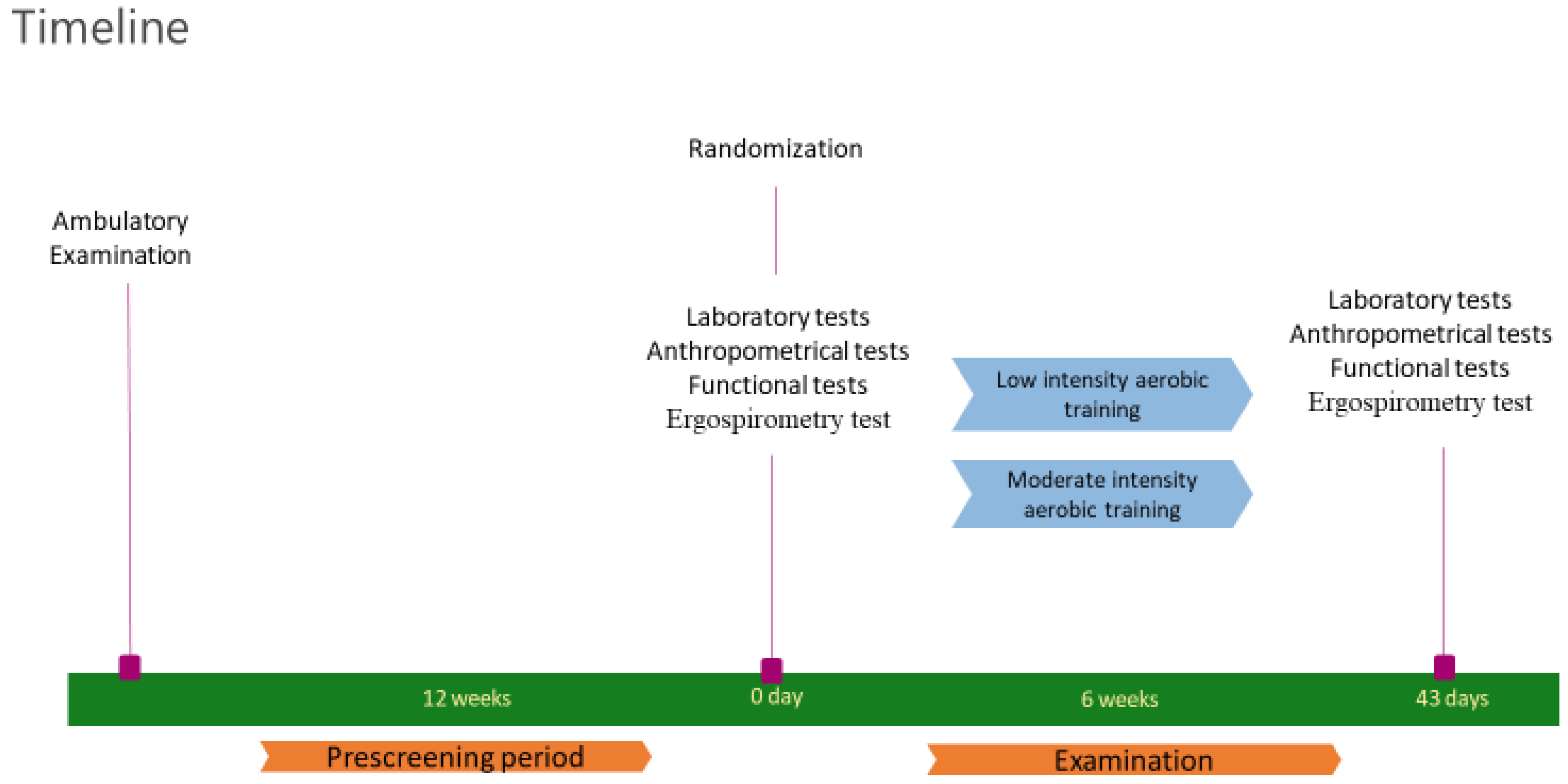 Nutrients 16 04251 g001