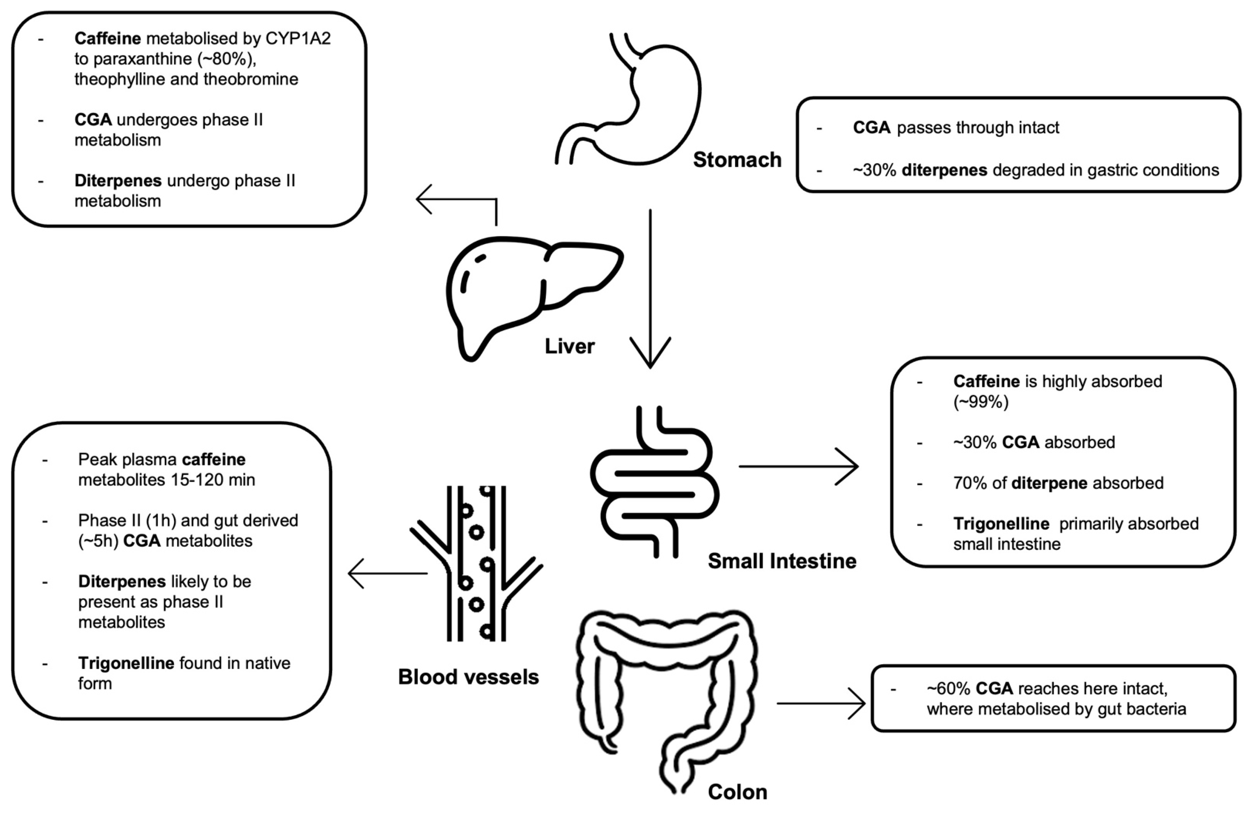 Nutrients 16 04257 g002