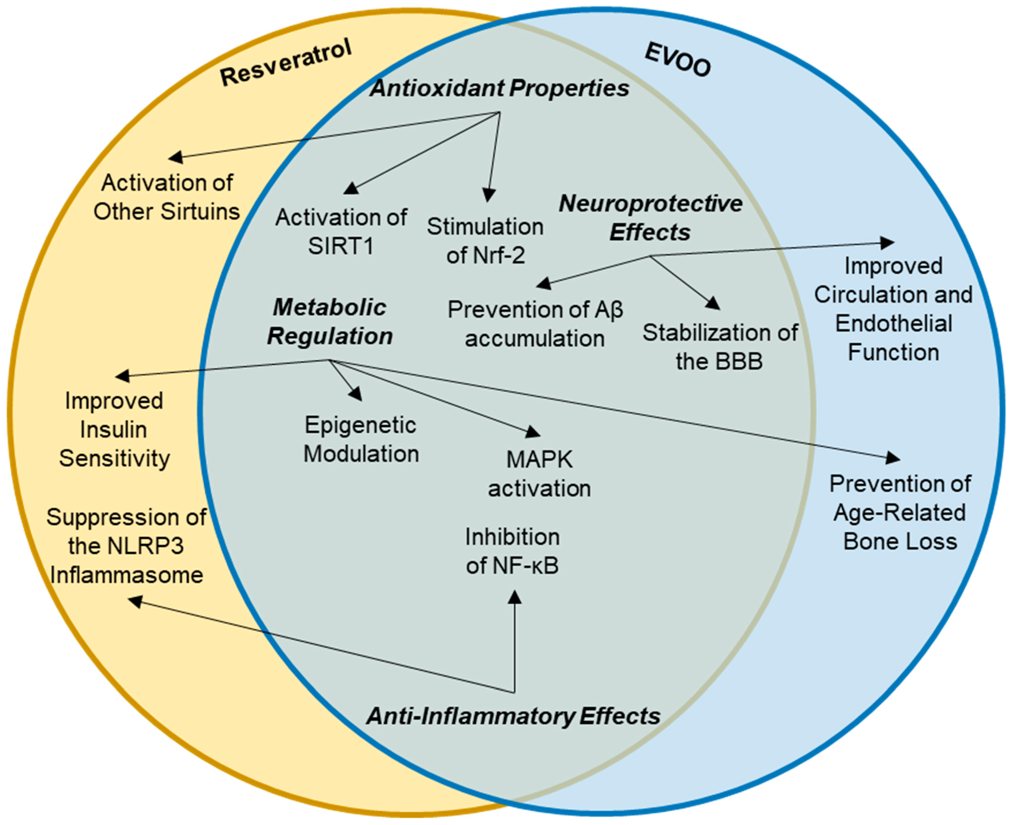 Nutrients 16 04258 g003