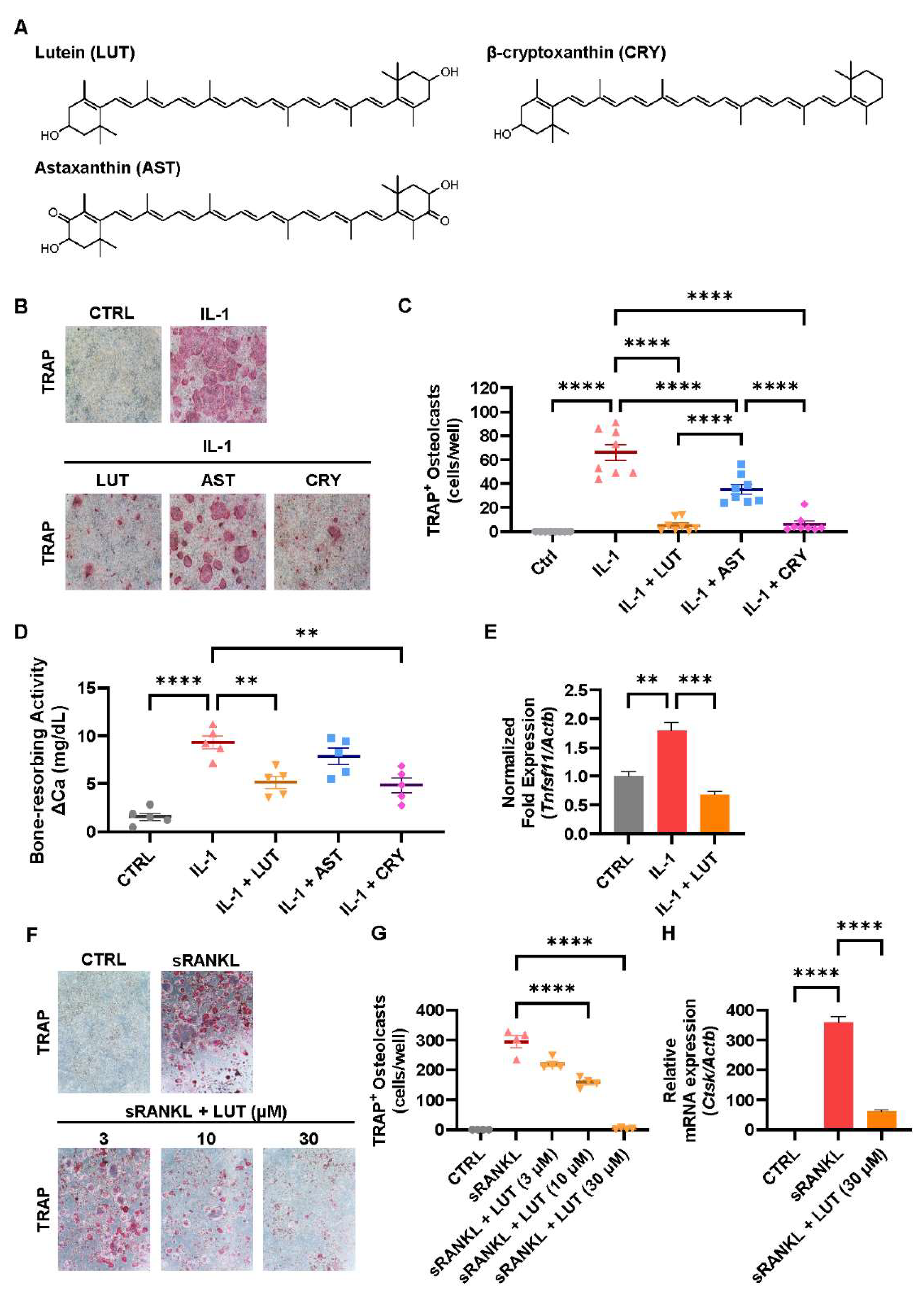 Nutrients 16 04271 g001