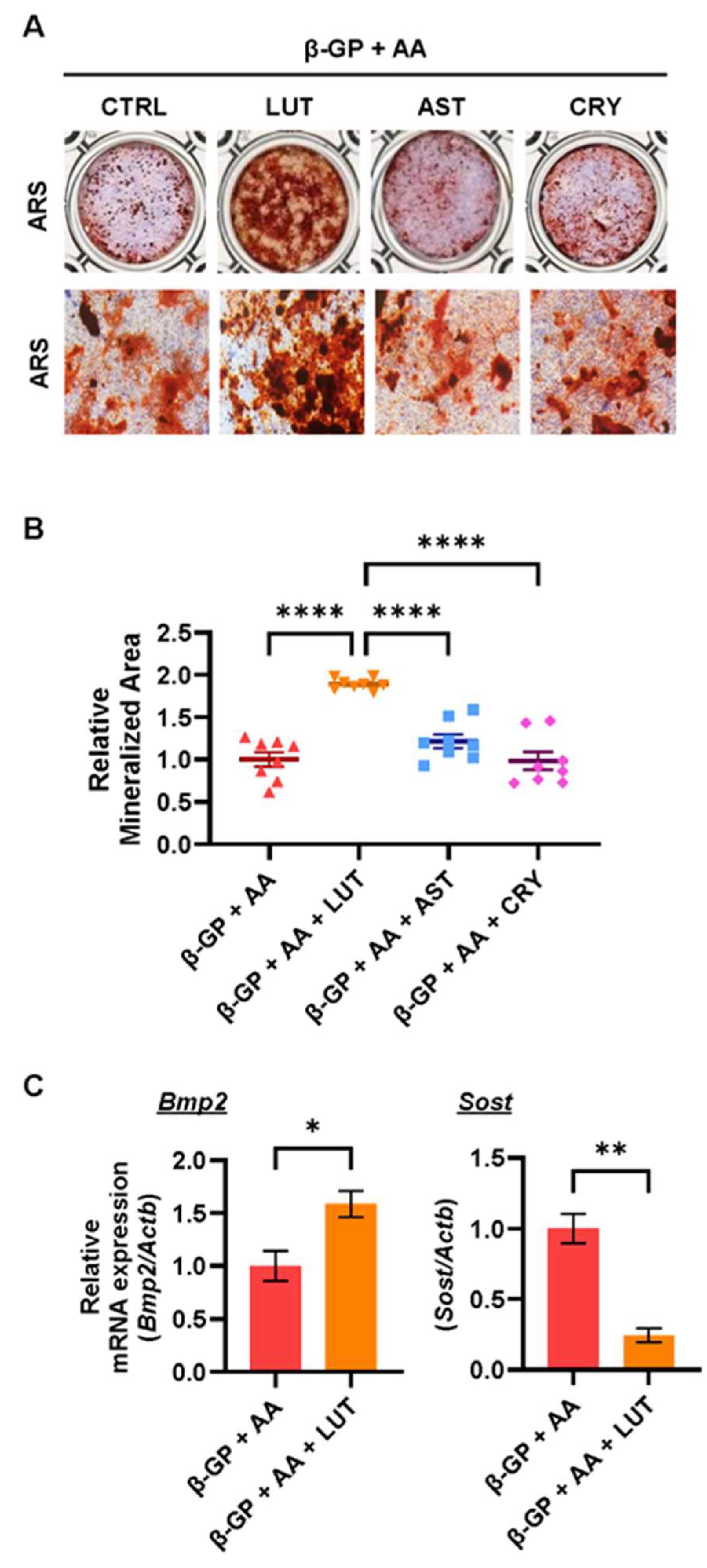 Nutrients 16 04271 g002