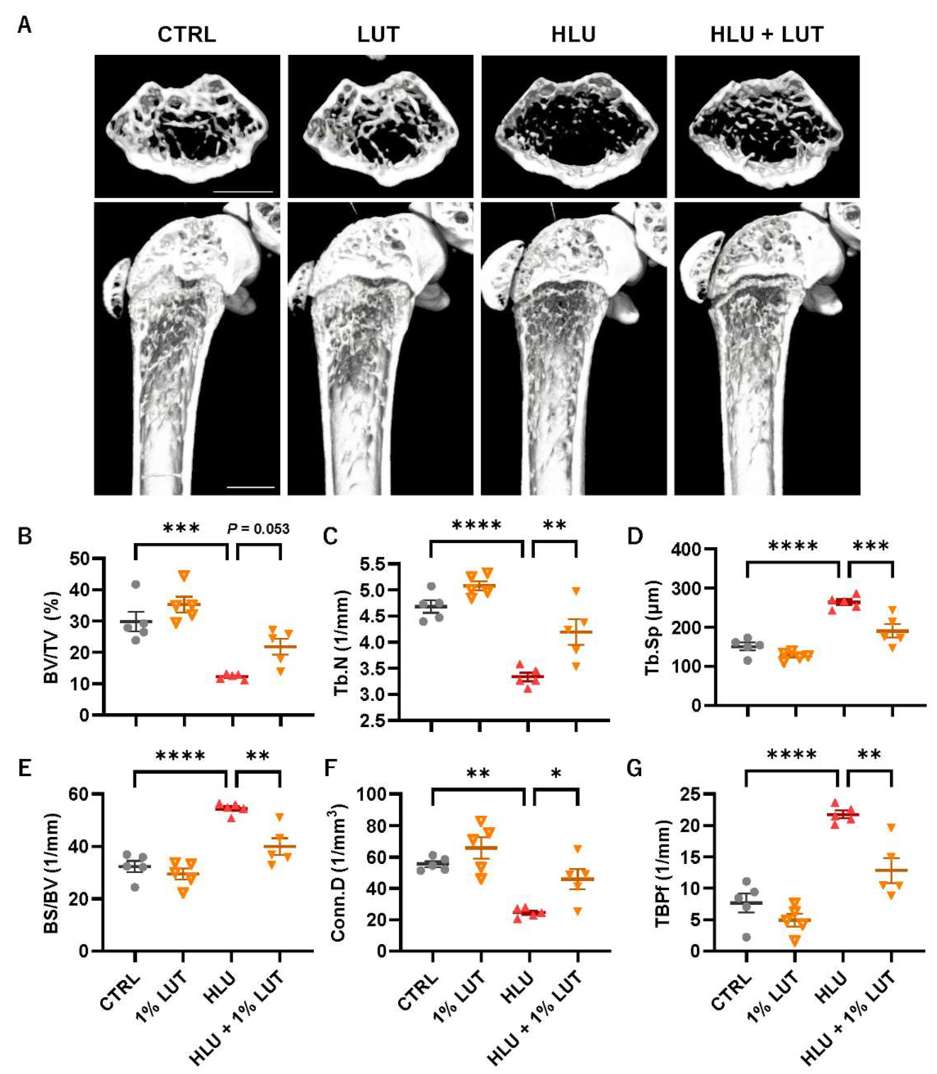 Nutrients 16 04271 g004