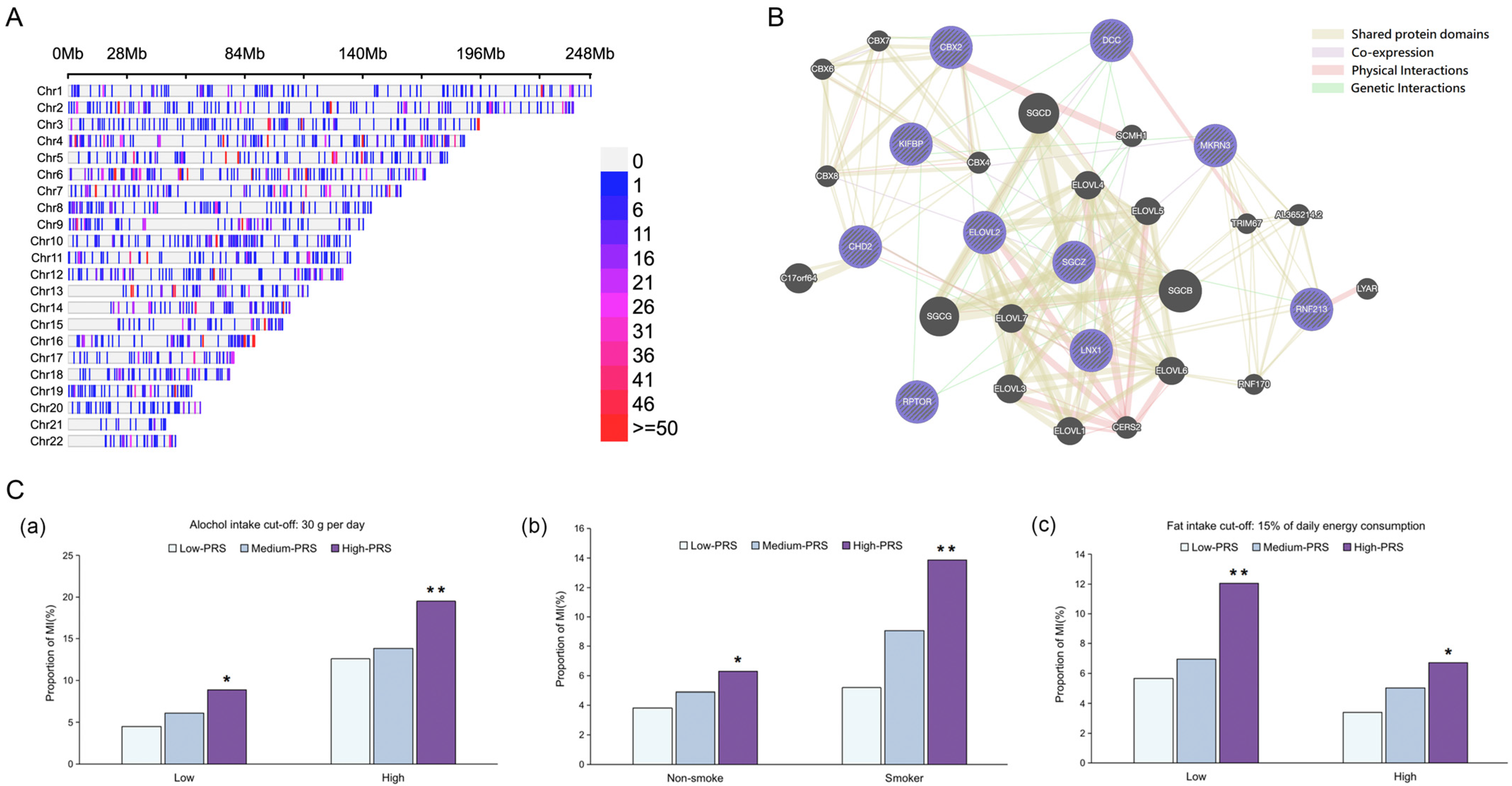 Nutrients 16 04273 g001