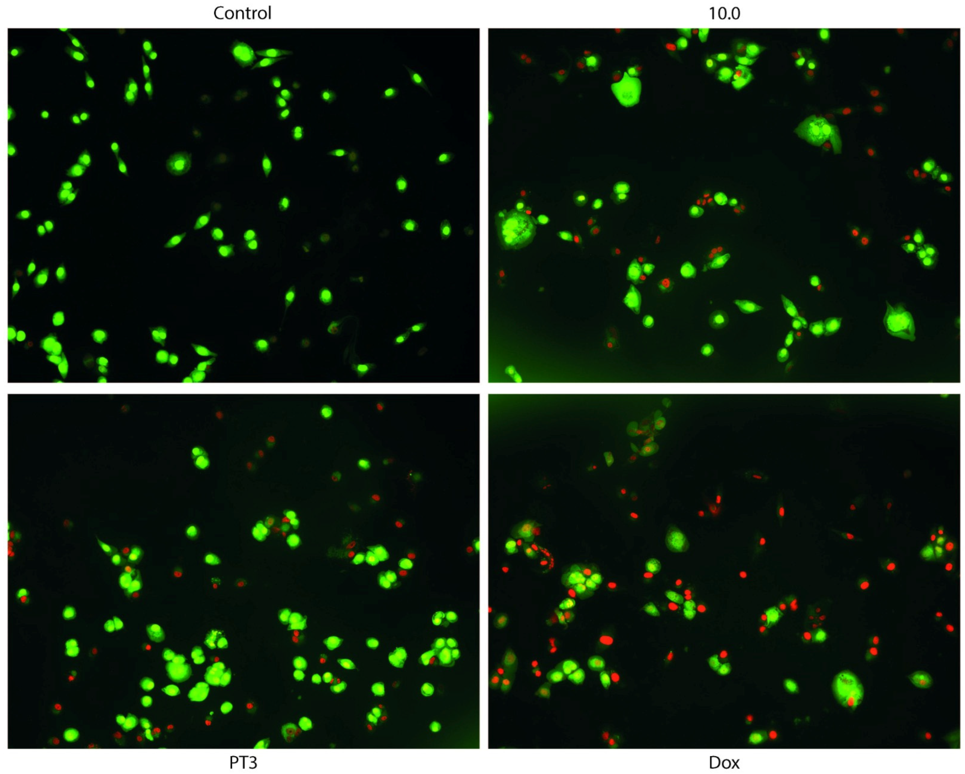 Nutrients 16 04274 g005