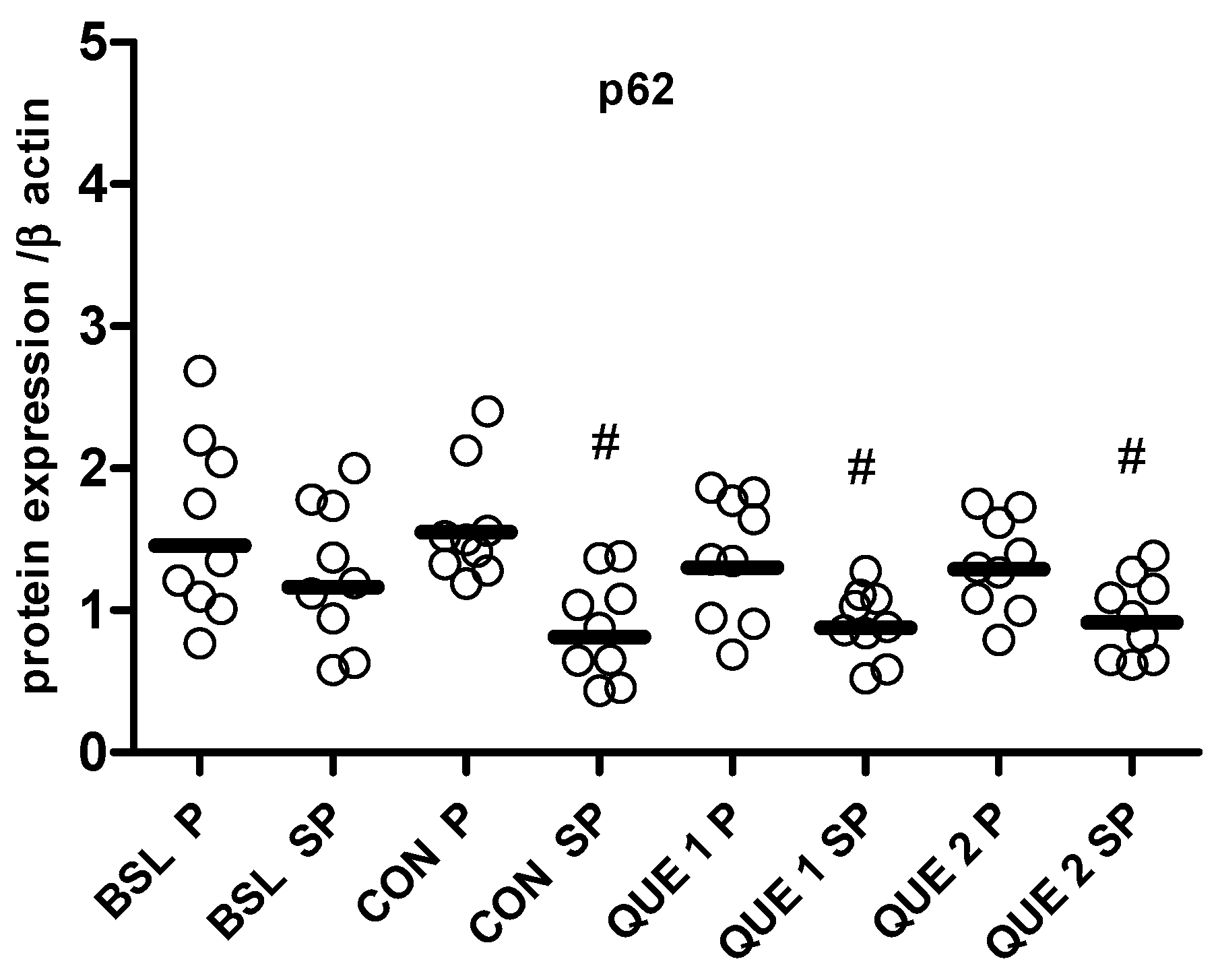 Nutrients 16 04282 g002b