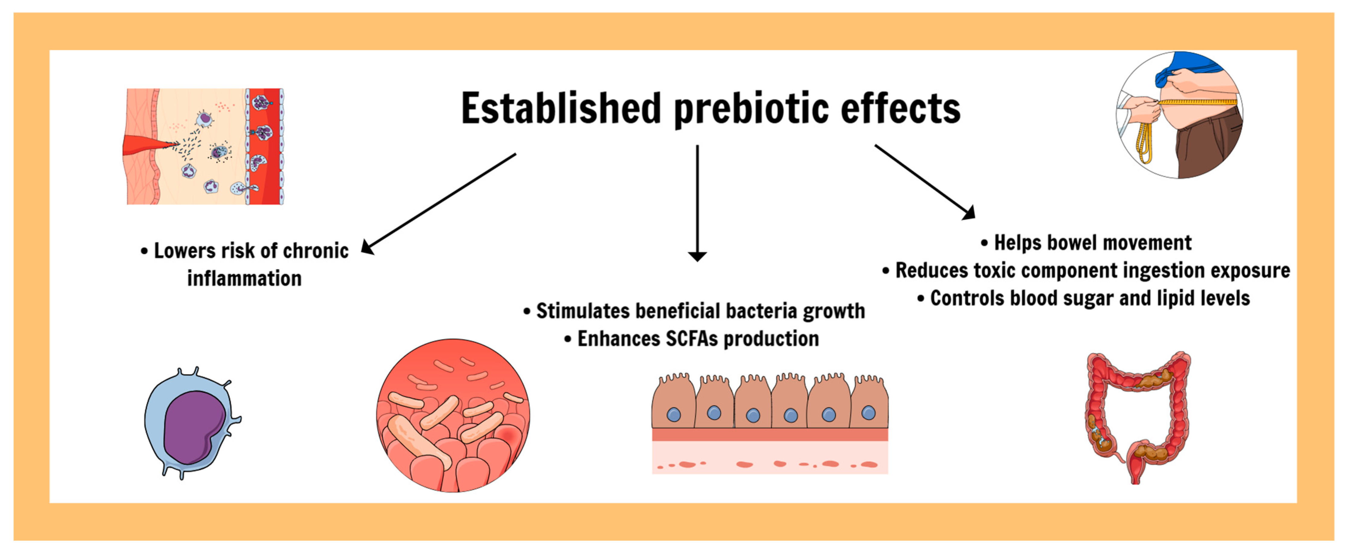 Nutrients 16 04286 g005