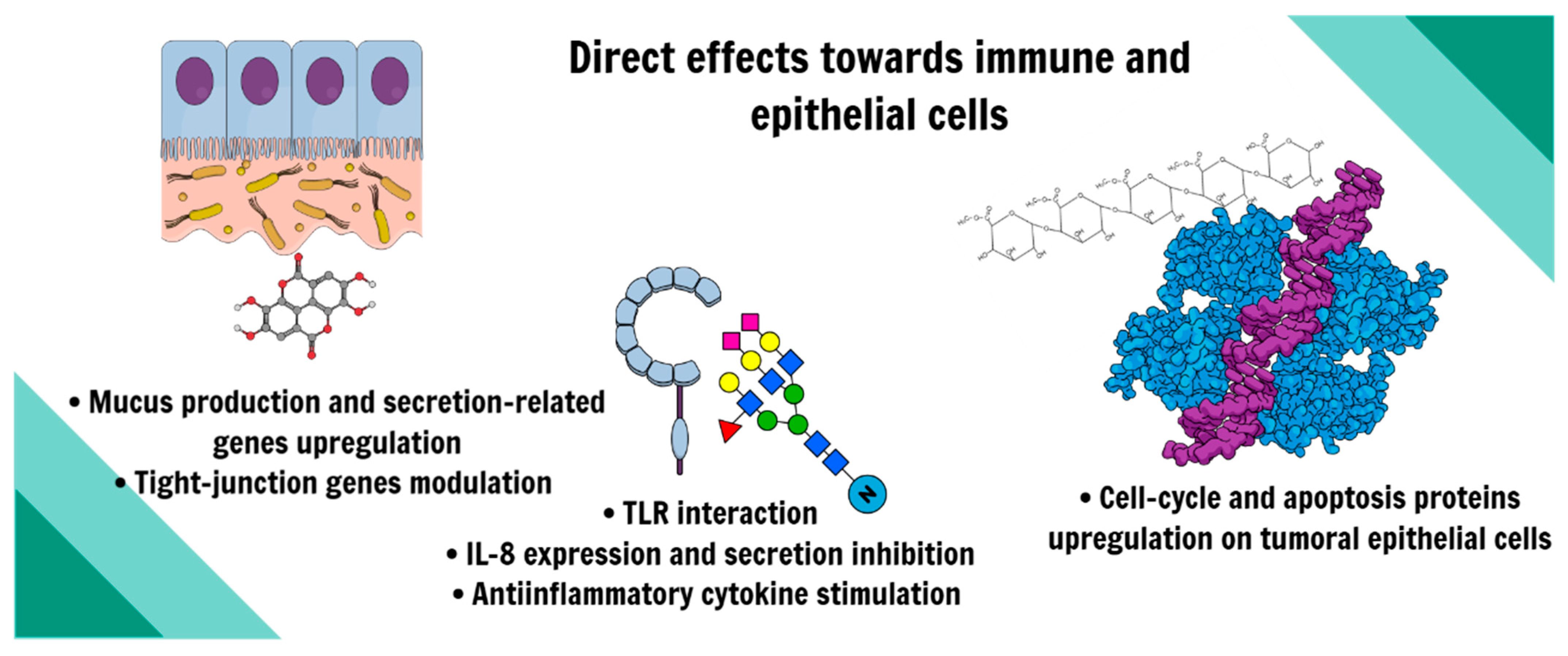 Nutrients 16 04286 g006