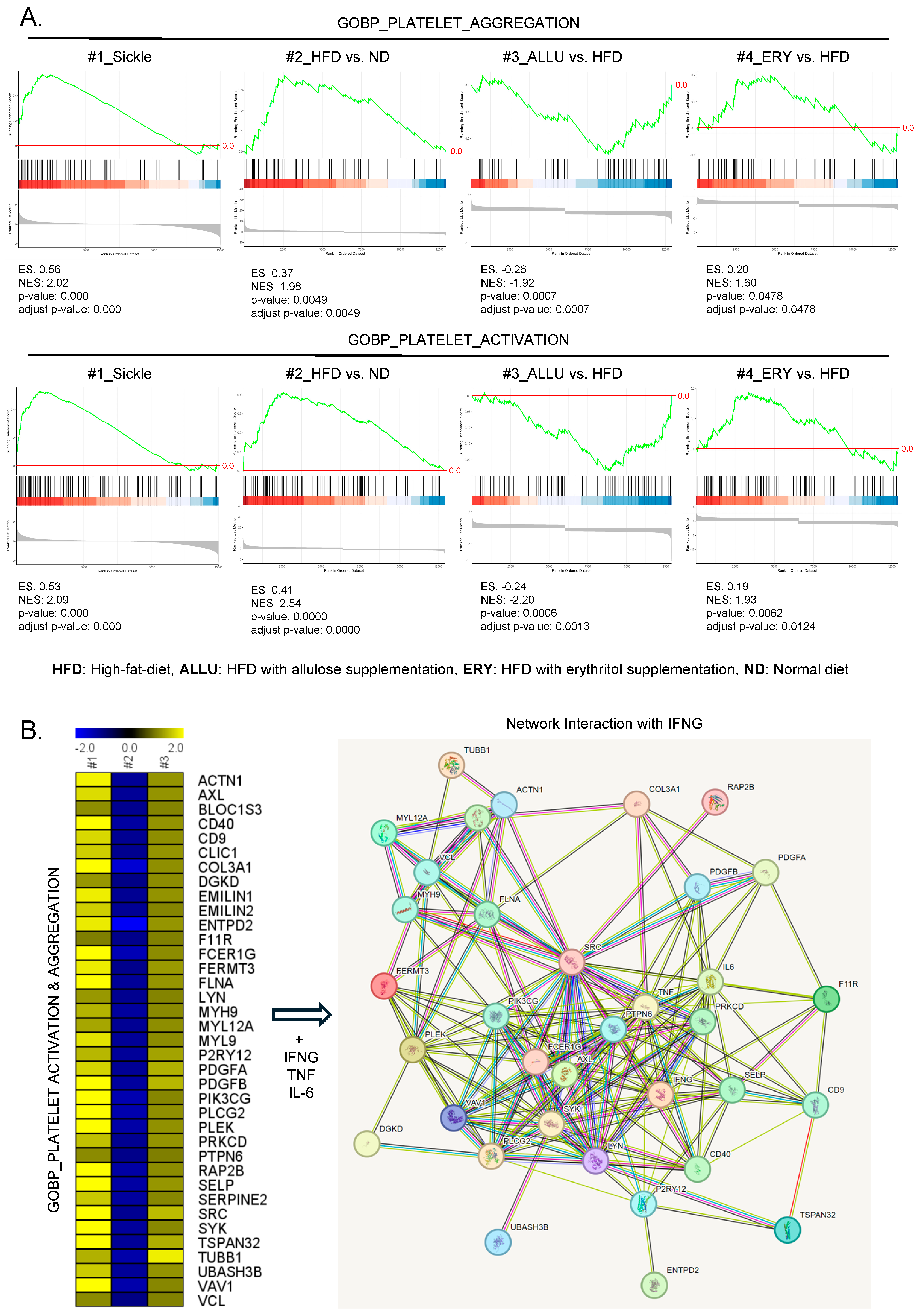 Nutrients 16 04295 g001