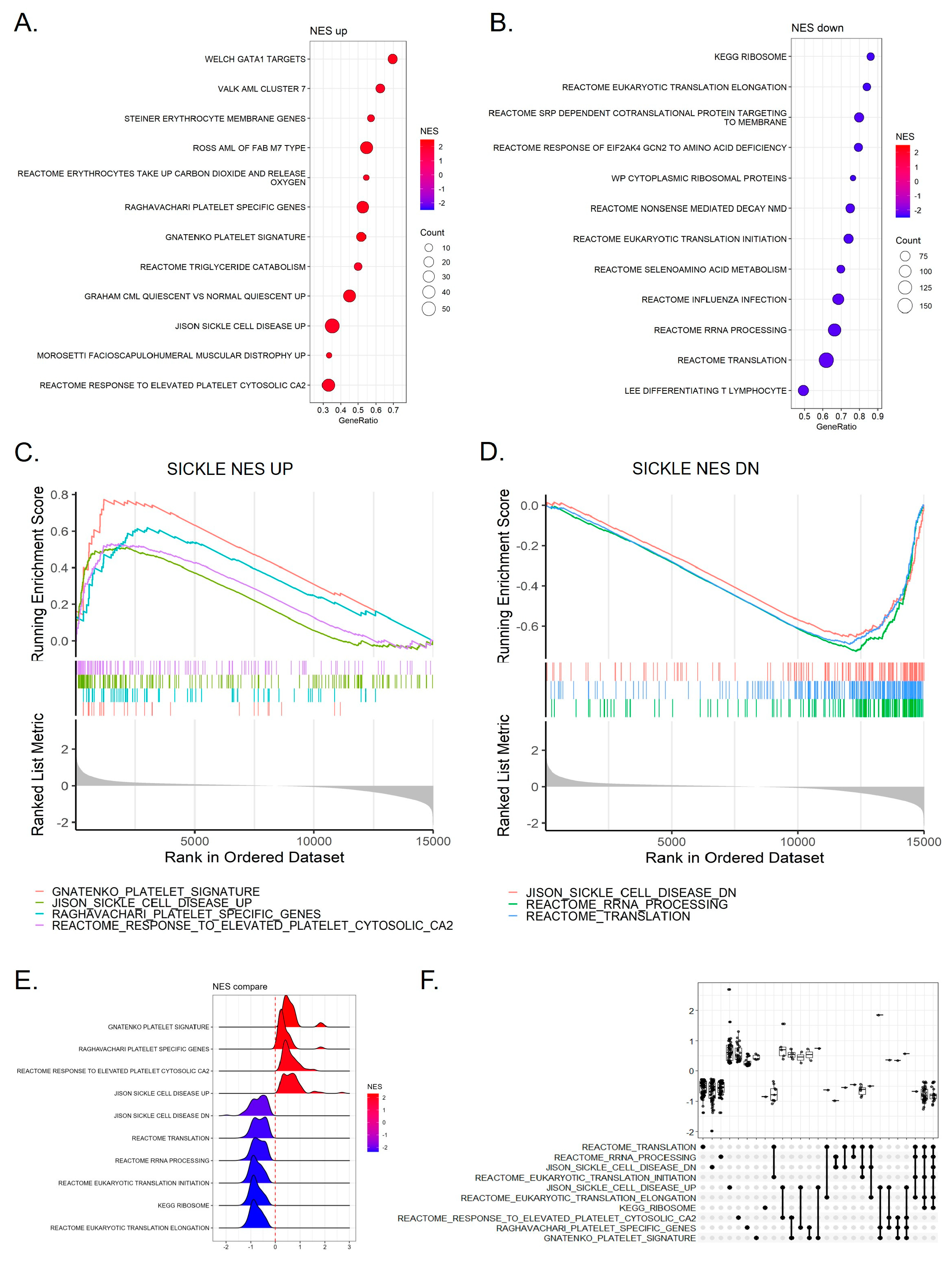 Nutrients 16 04295 g002