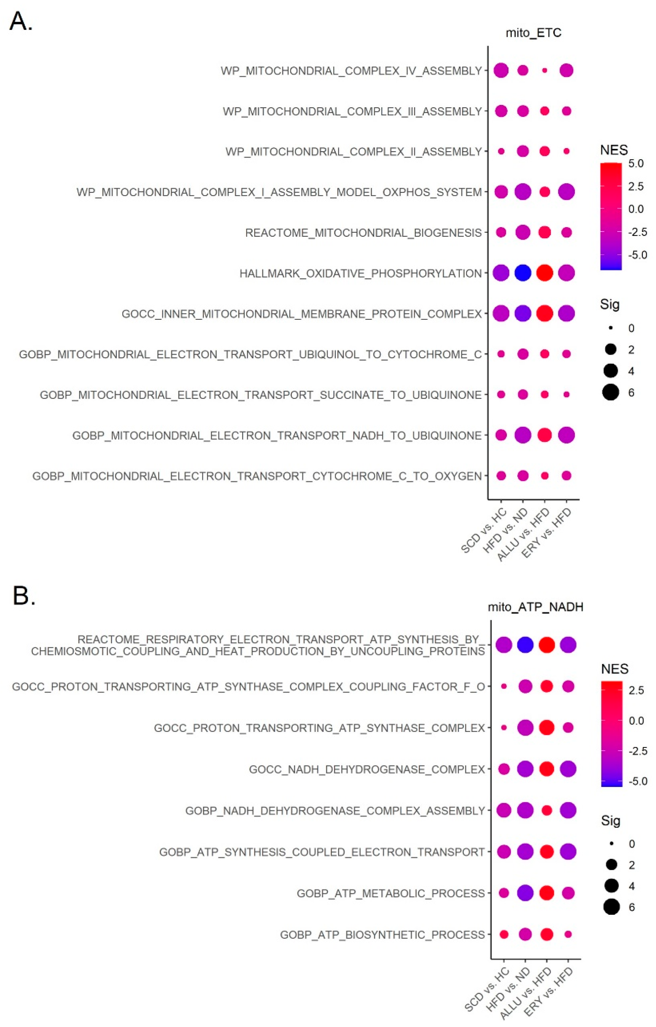 Nutrients 16 04295 g004