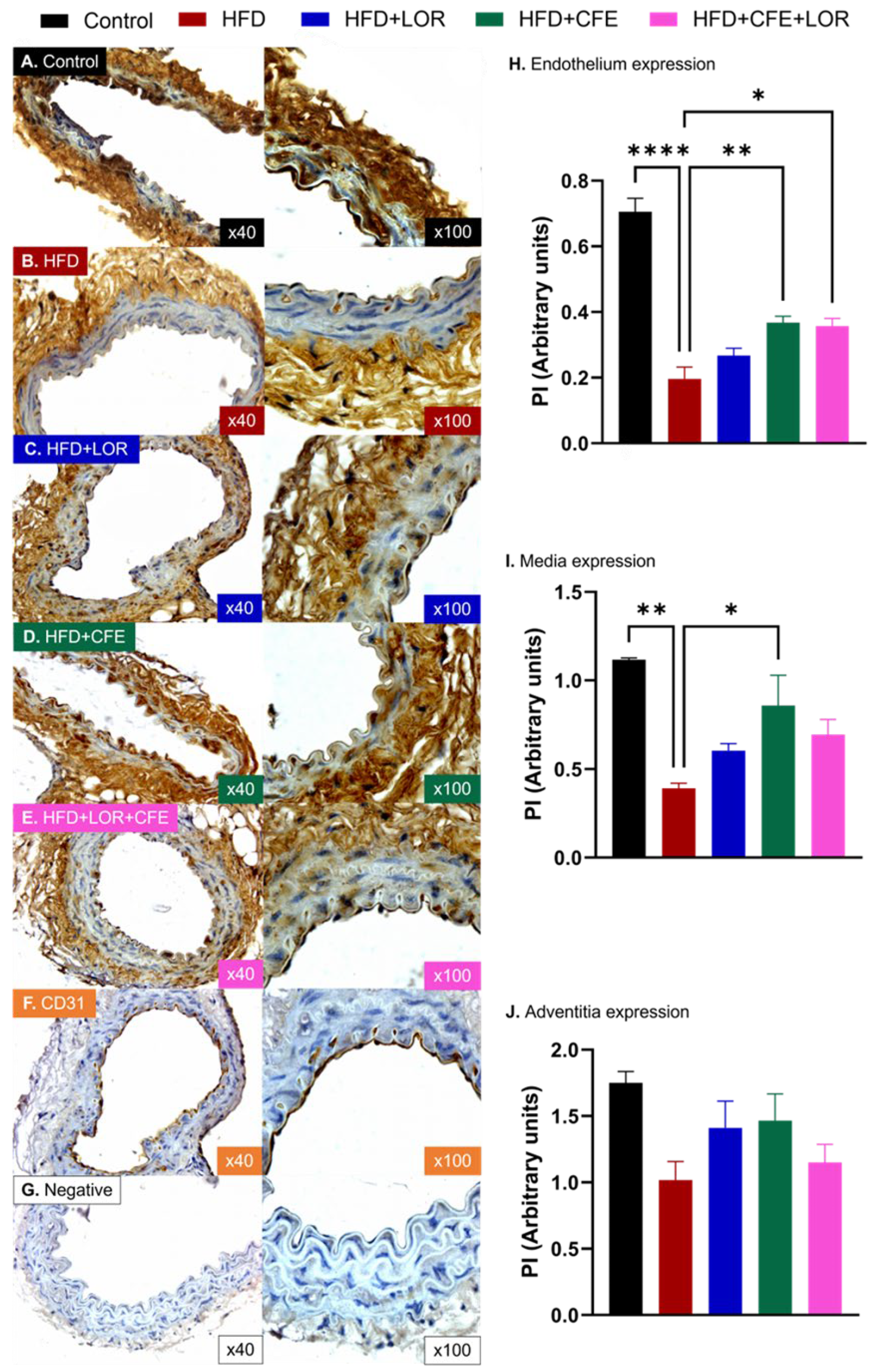 Nutrients 16 04296 g006