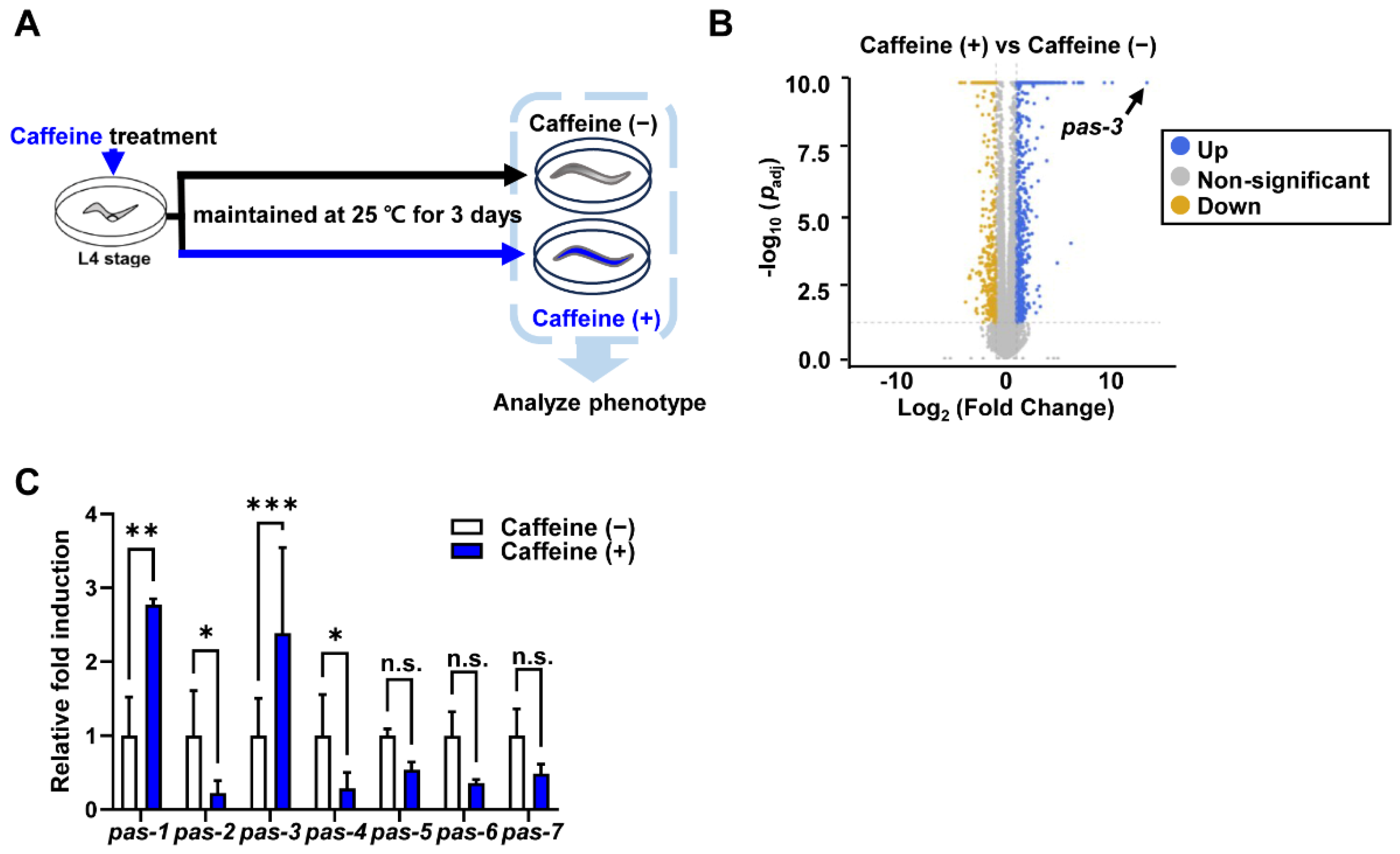 Nutrients 16 04298 g001