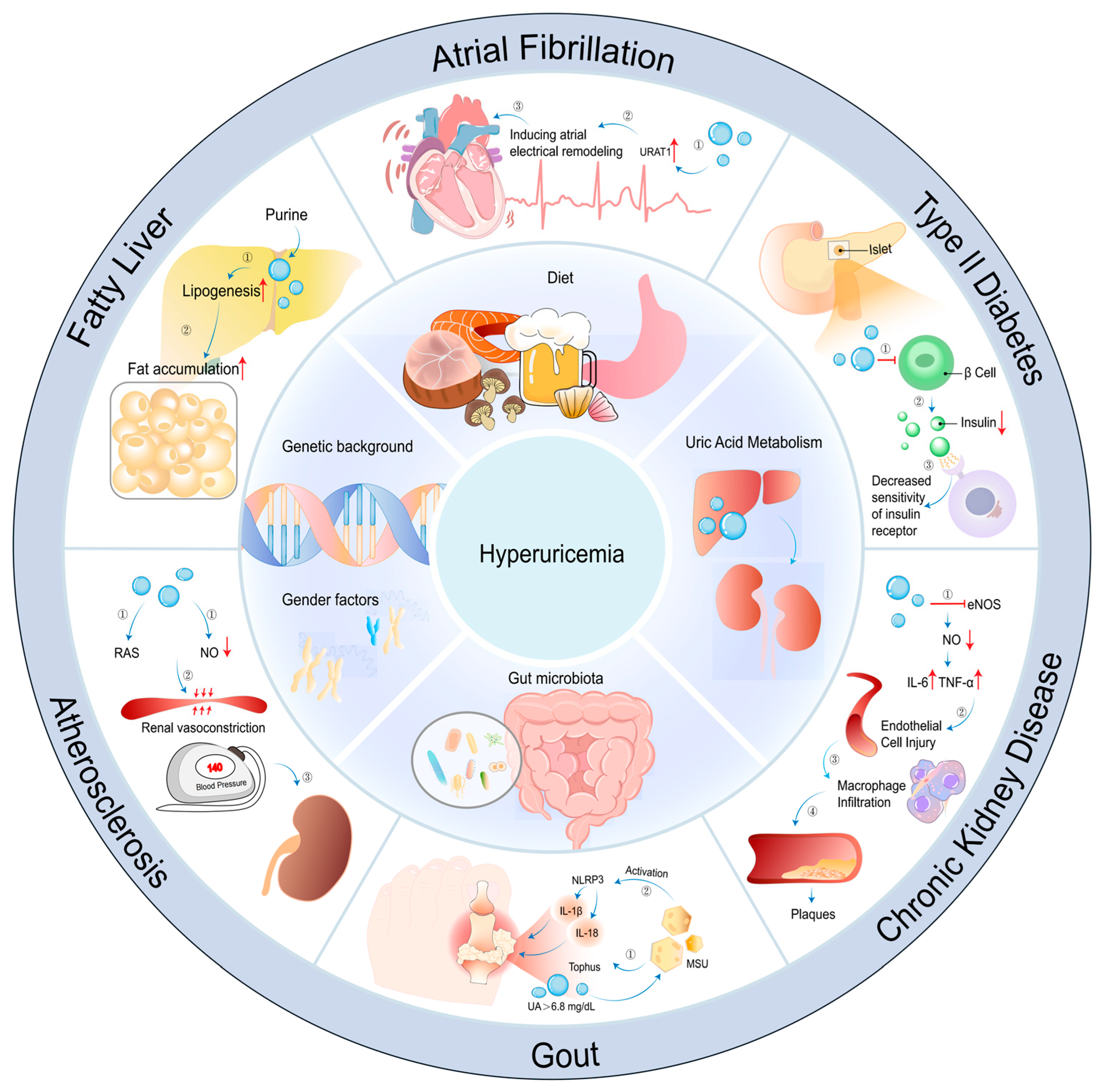 Nutrients 16 04301 g001