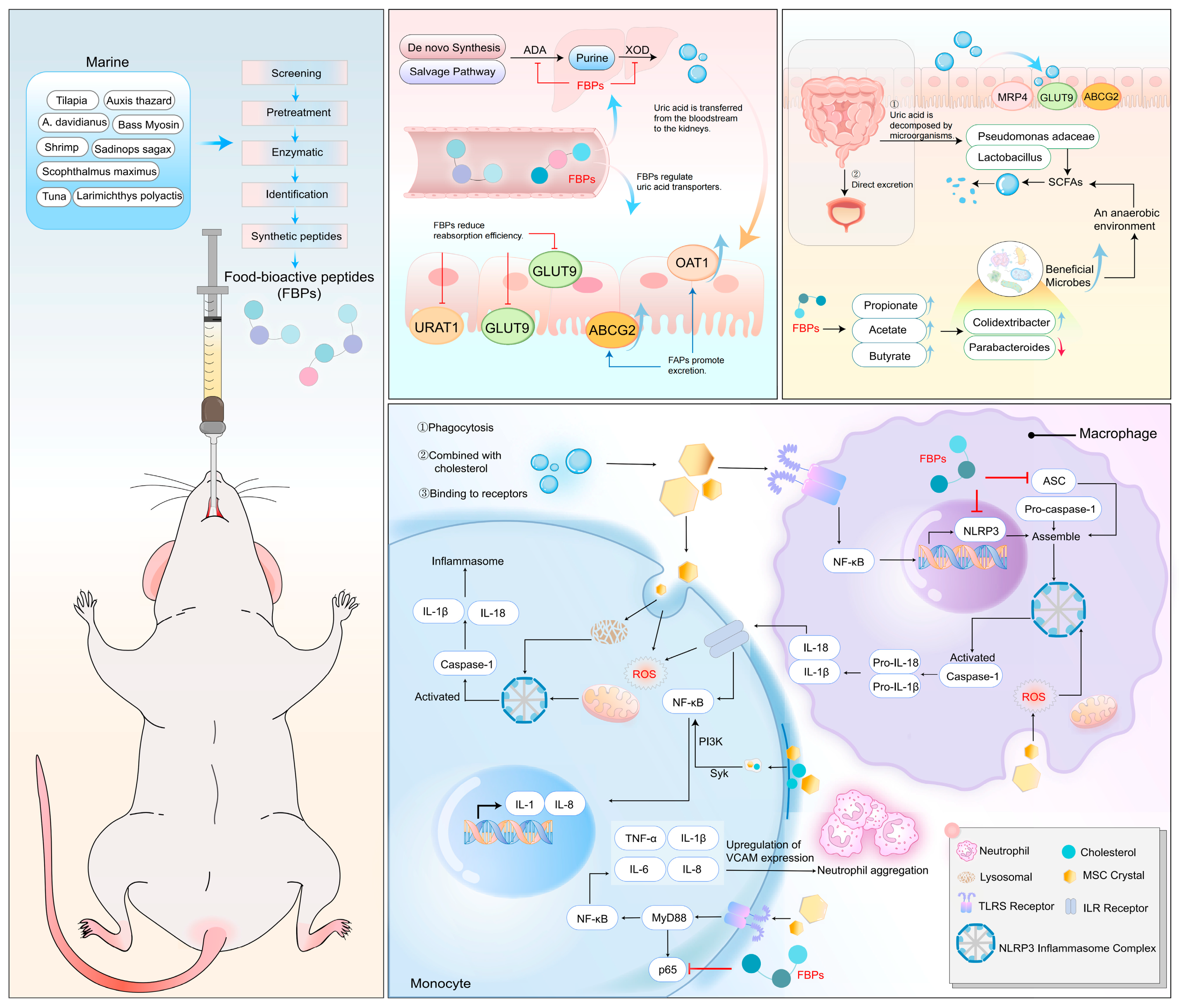Nutrients 16 04301 g003