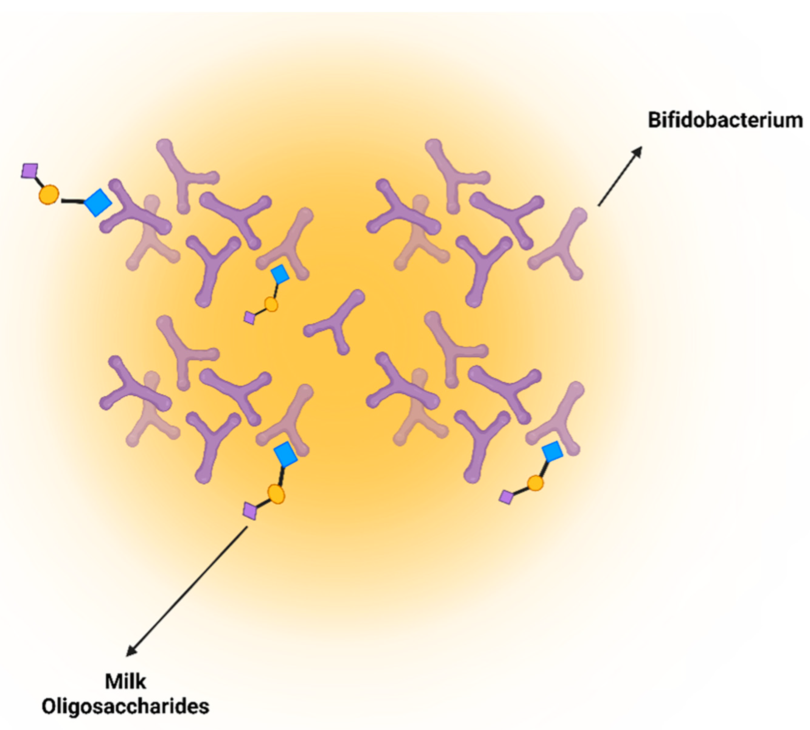 Nutrients 16 04305 g004