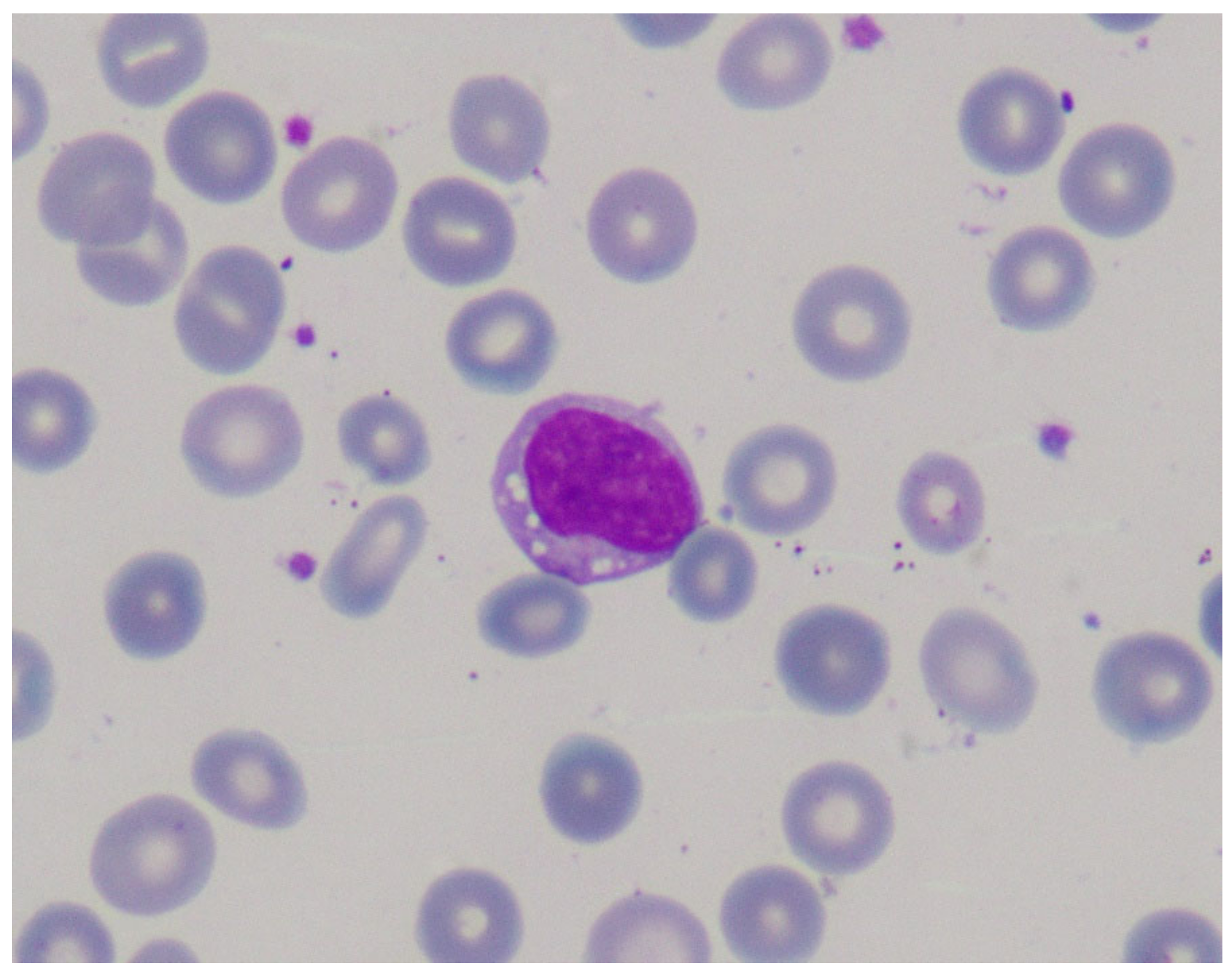 Nutrients 16 04309 g002