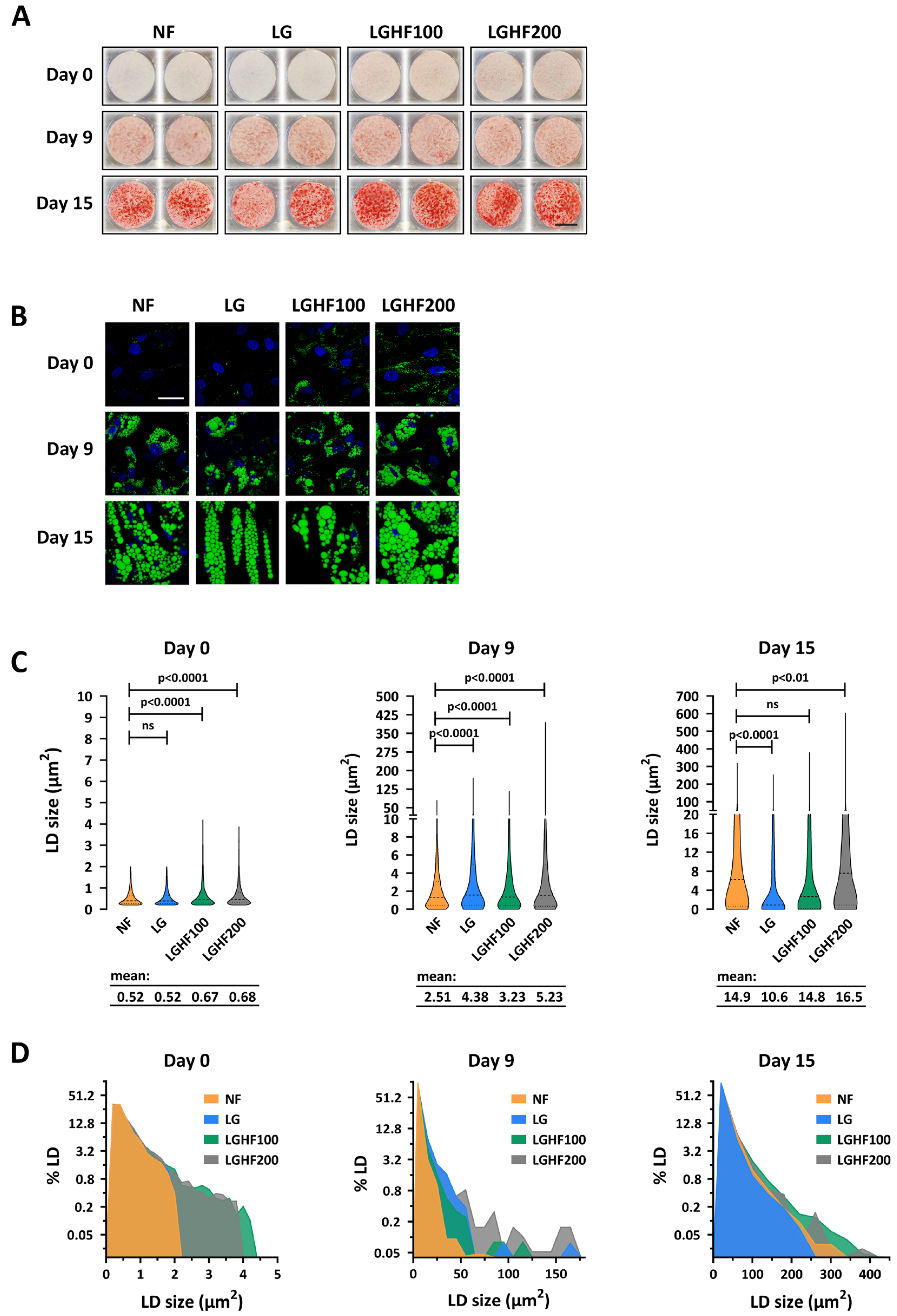Nutrients 16 04310 g003 Nutrients 16 04310 g003