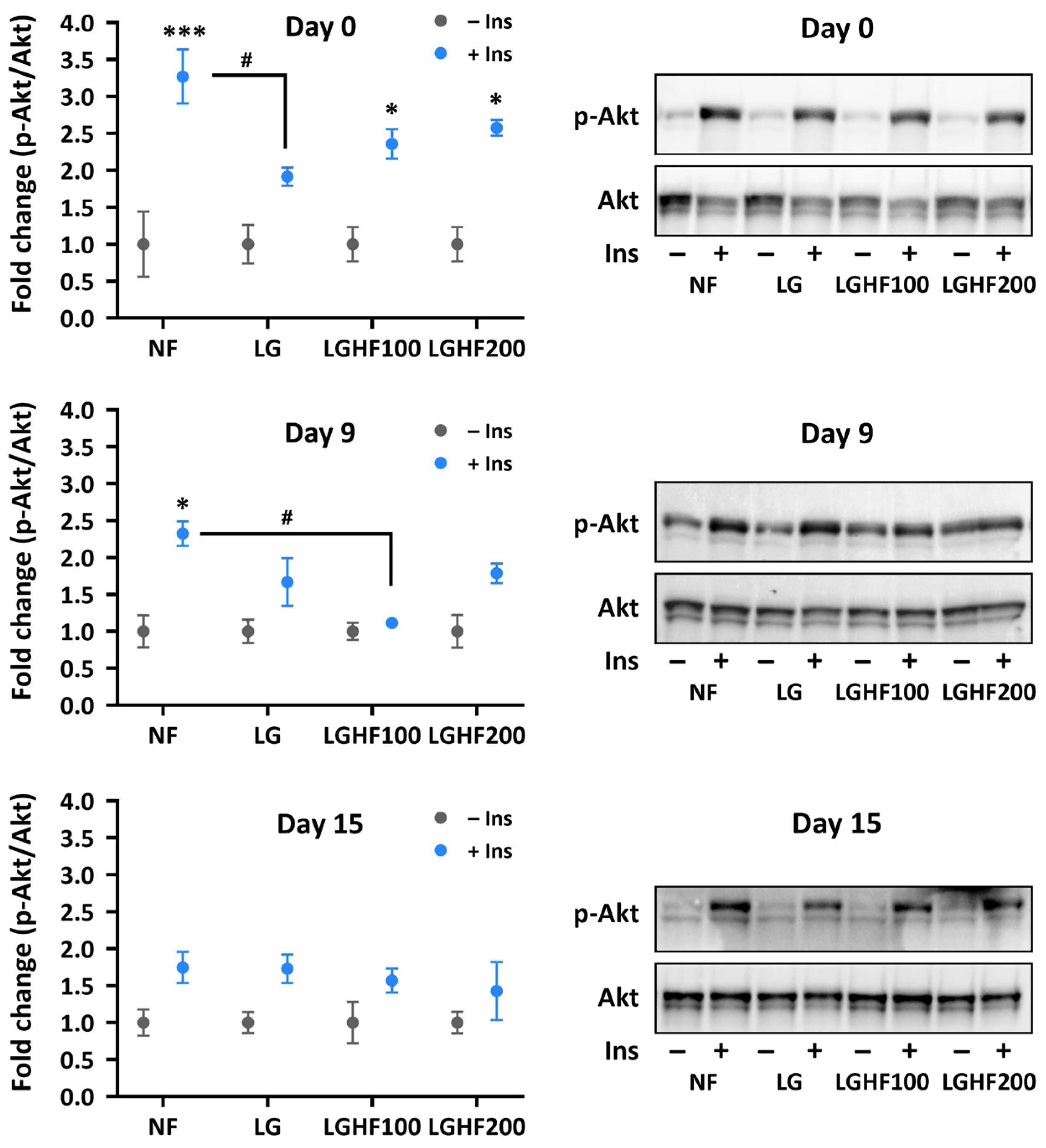 Nutrients 16 04310 g004 Nutrients 16 04310 g004