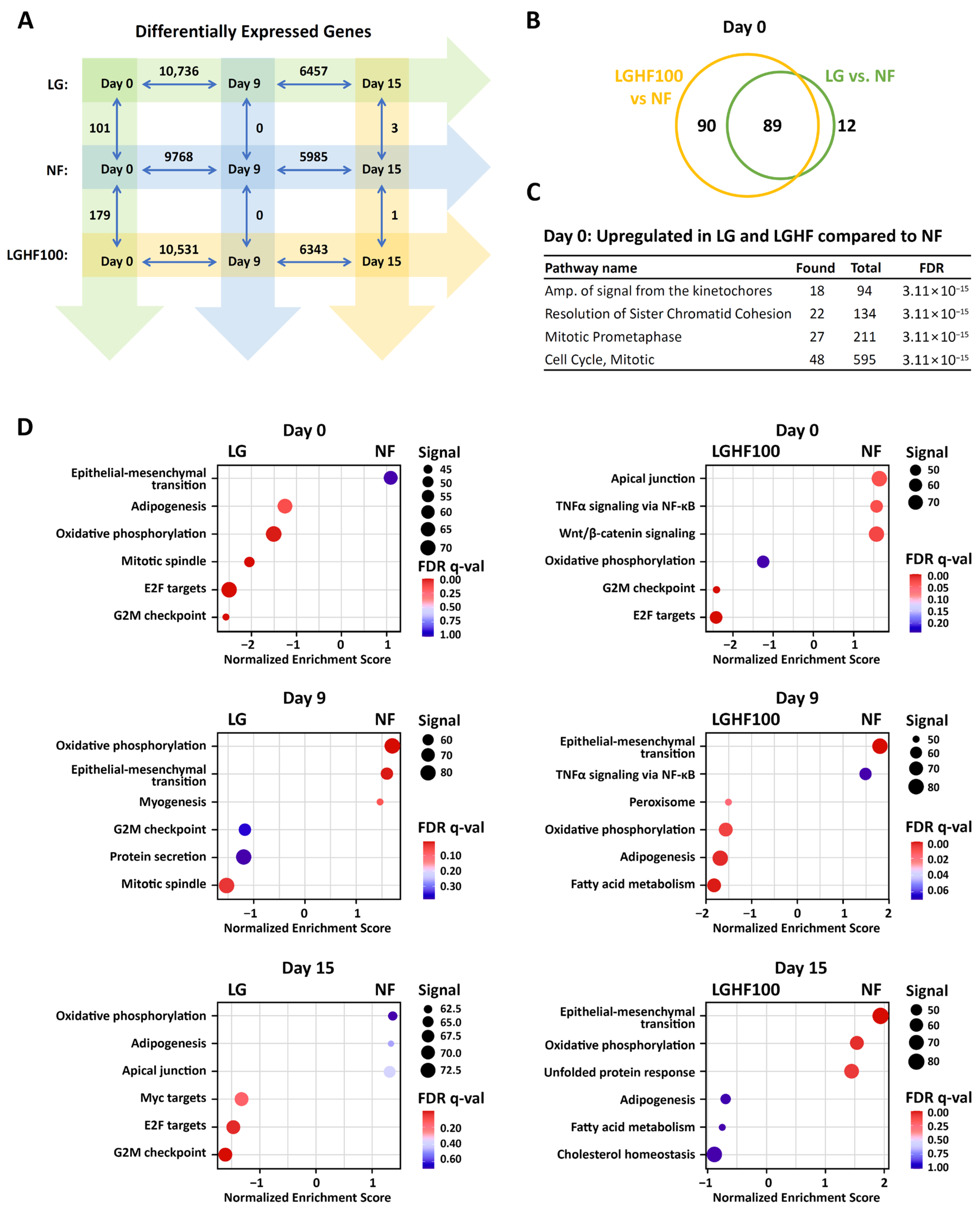 Nutrients 16 04310 g005 Nutrients 16 04310 g005