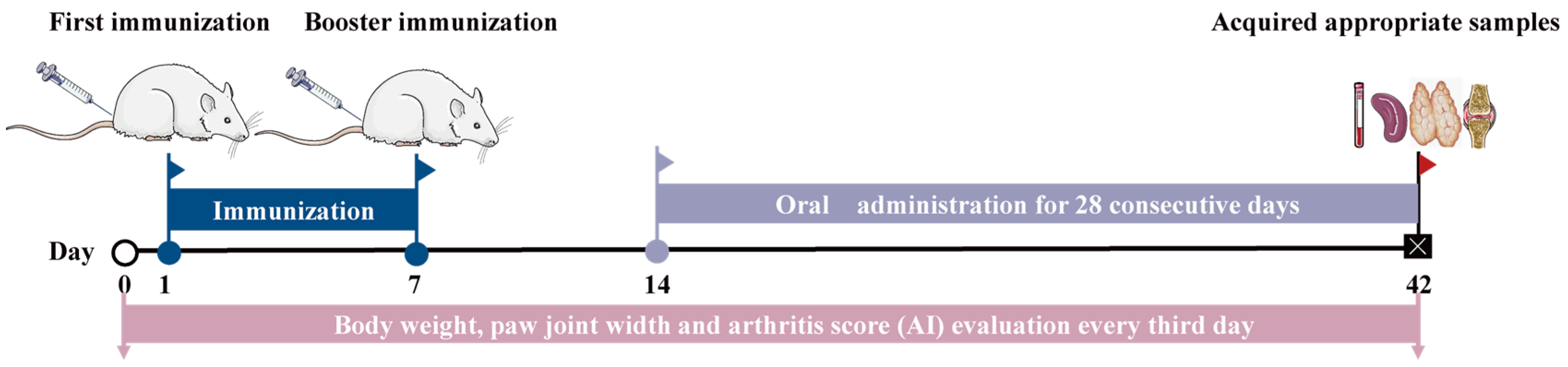 Nutrients 16 04311 g001