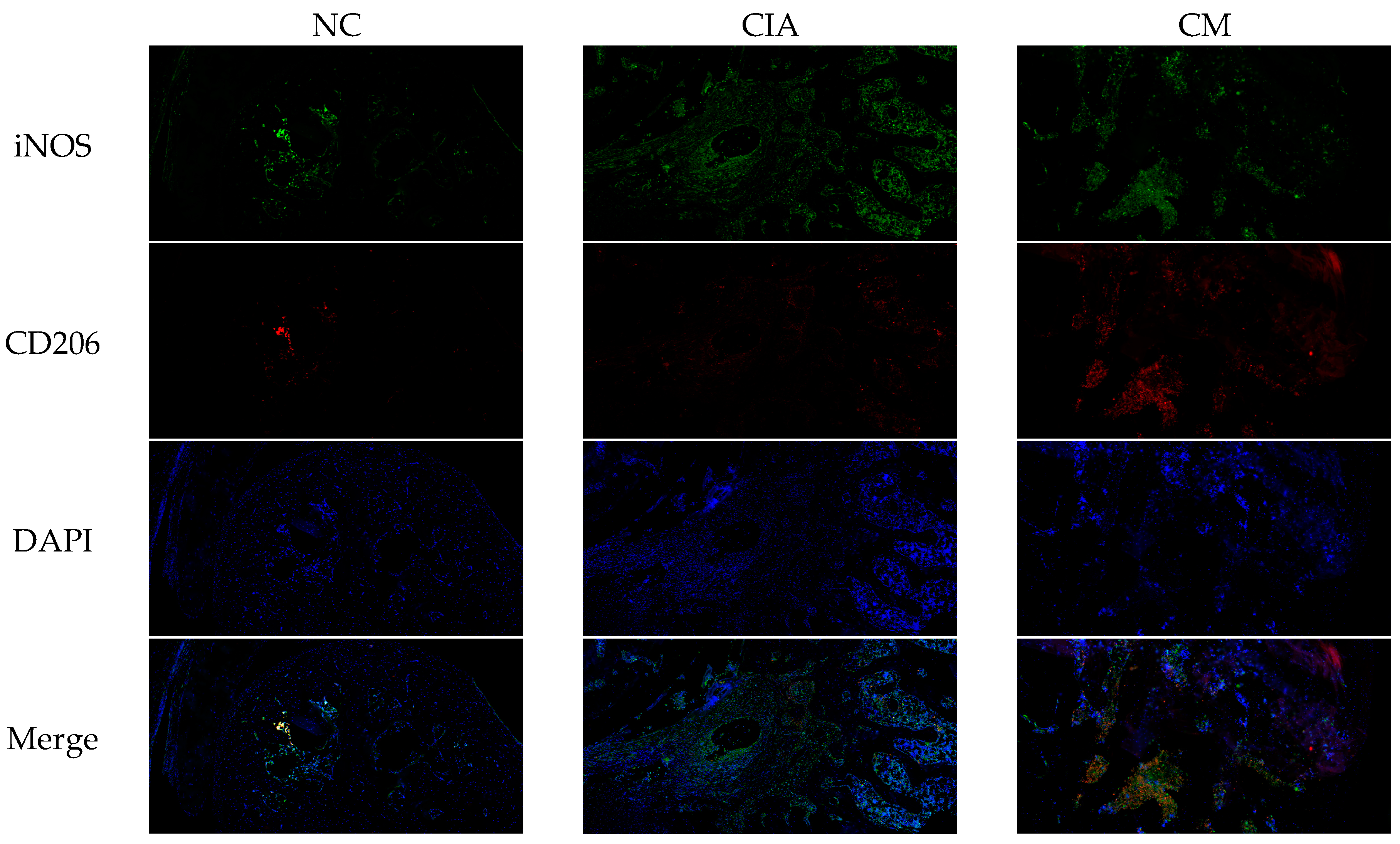 Nutrients 16 04311 g008