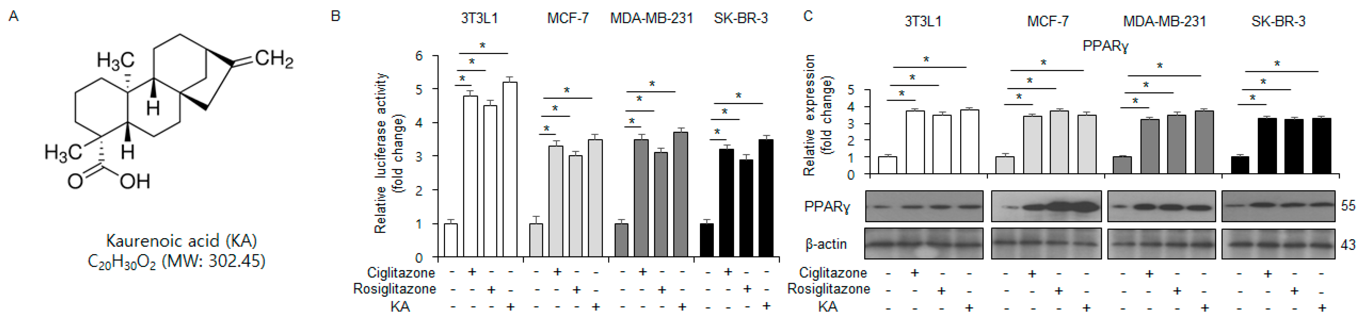 Nutrients 16 04320 g001