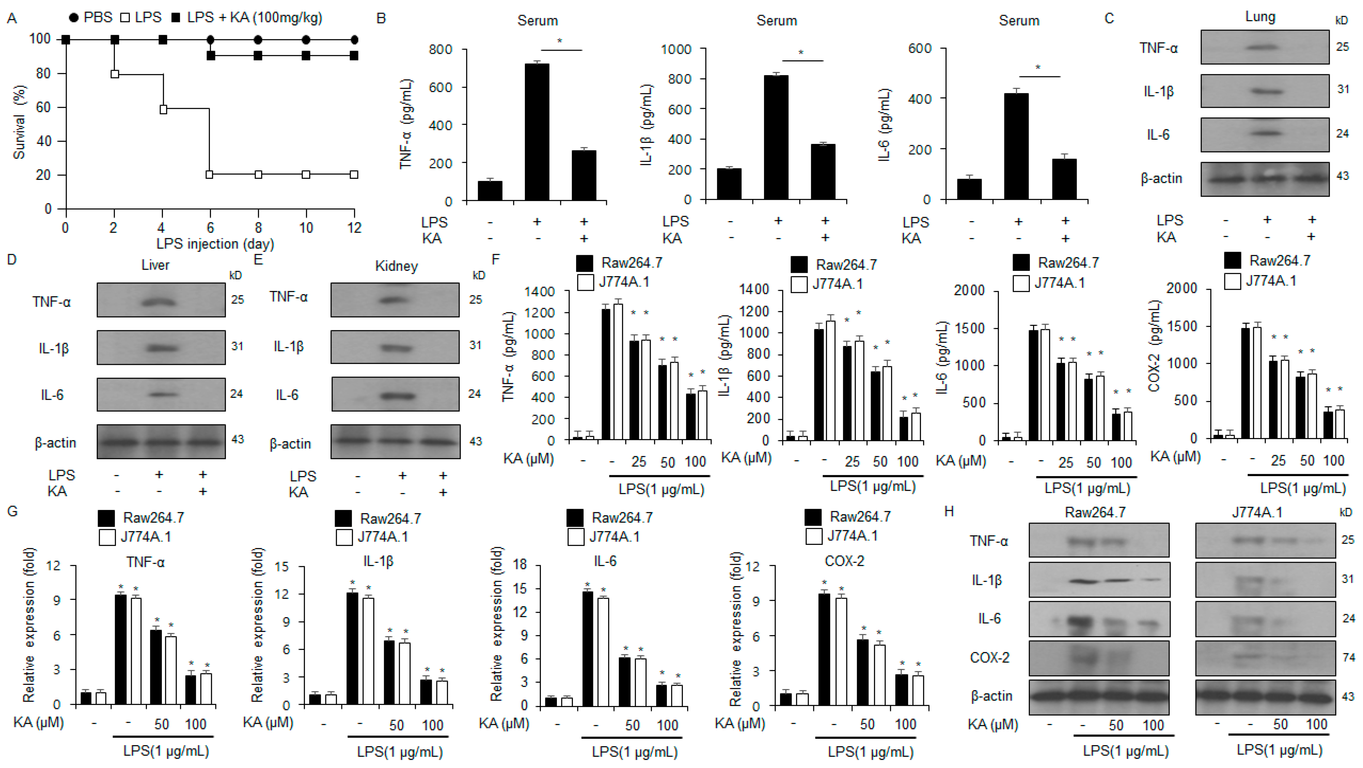 Nutrients 16 04320 g002