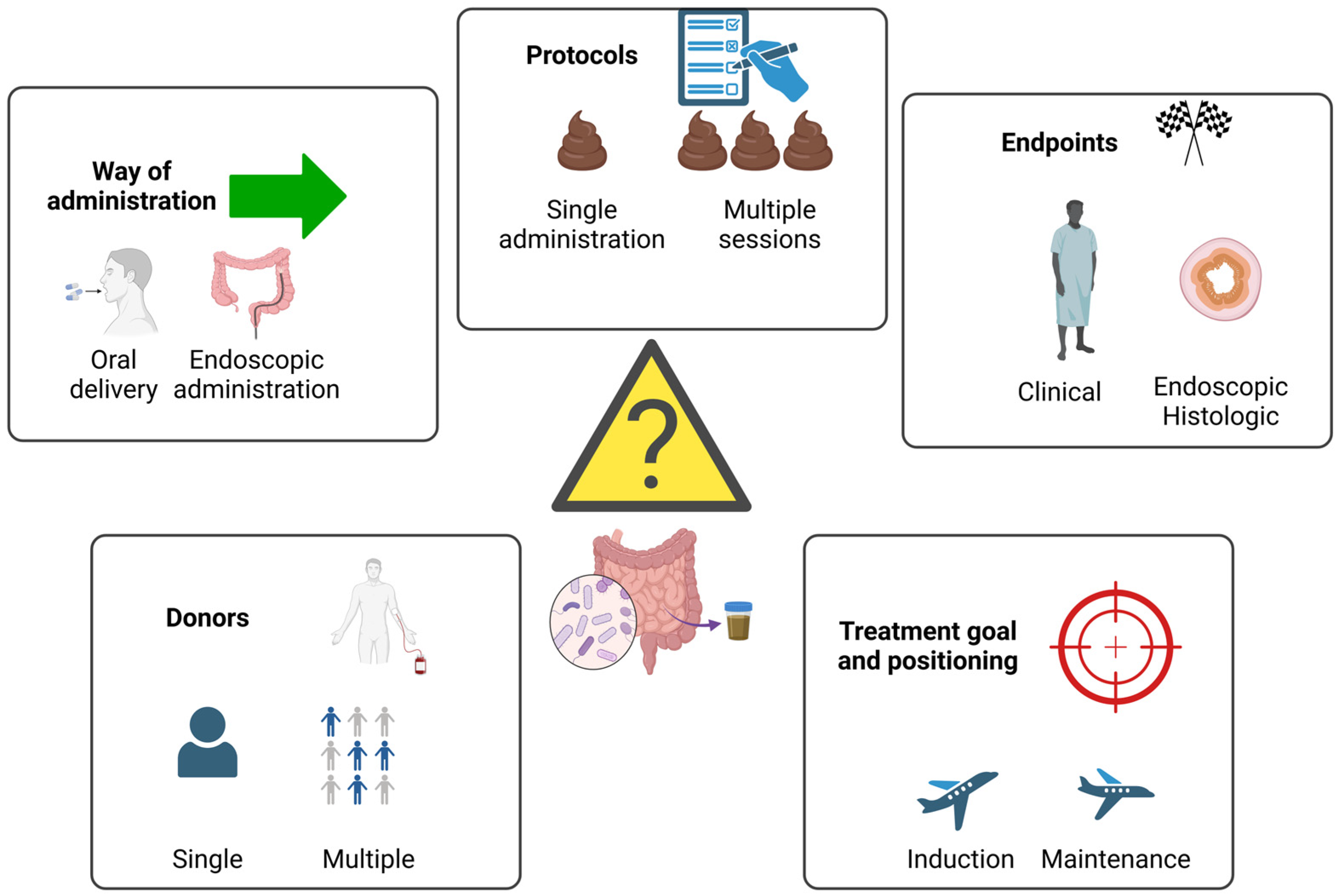 Nutrients 16 04337 g001