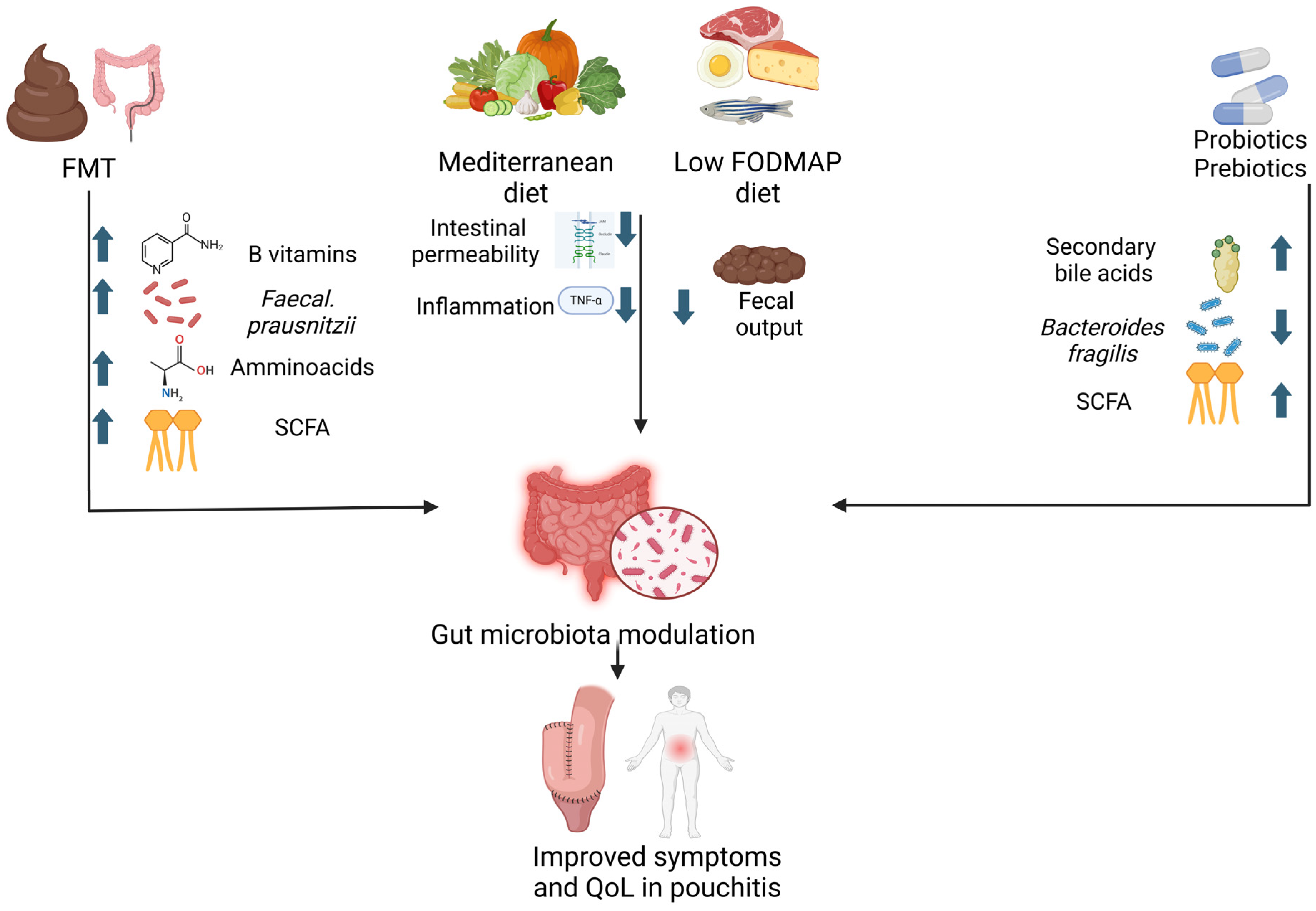 Nutrients 16 04337 g002