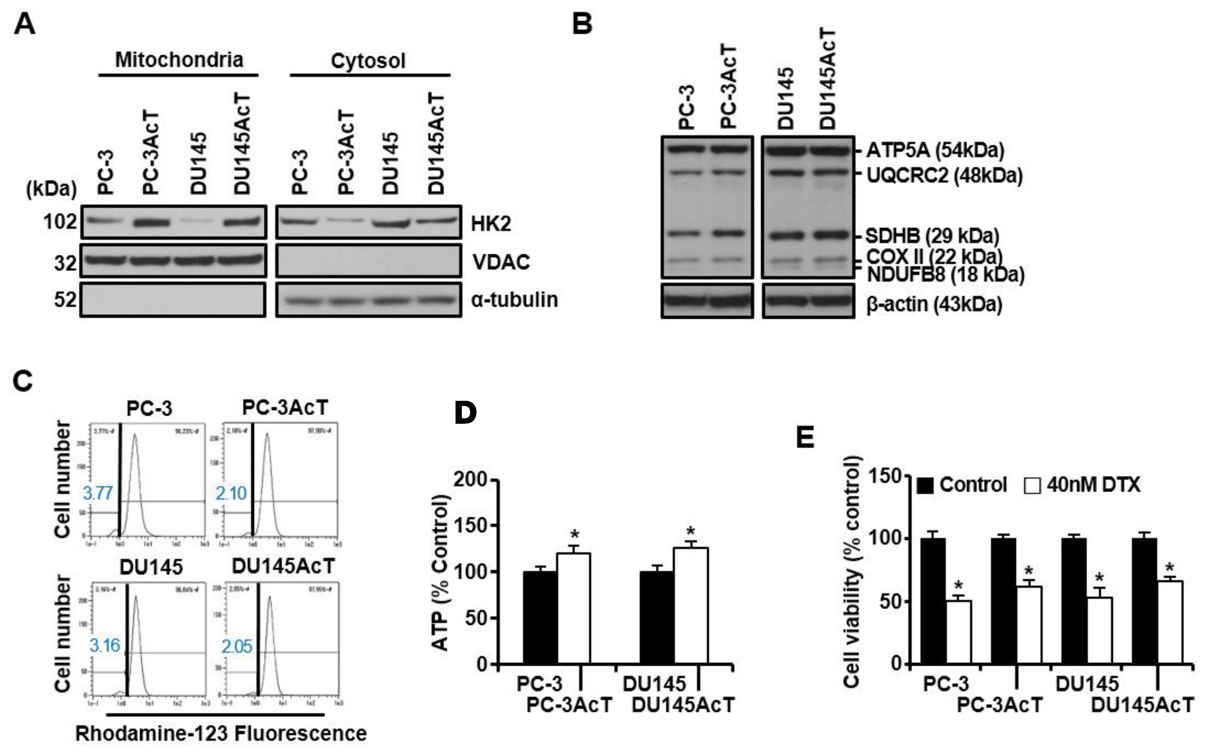 Nutrients 16 04338 g002a