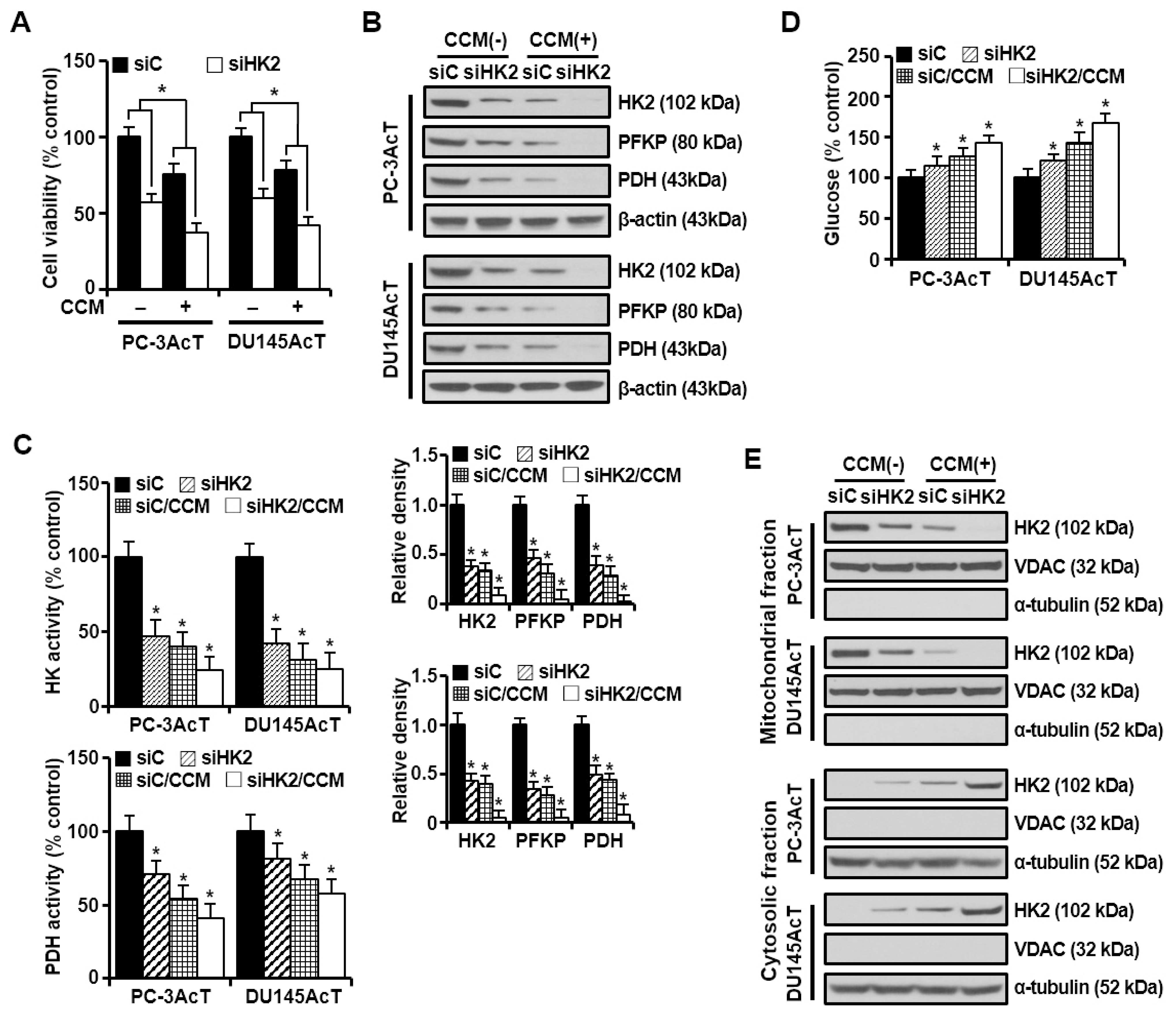 Nutrients 16 04338 g003