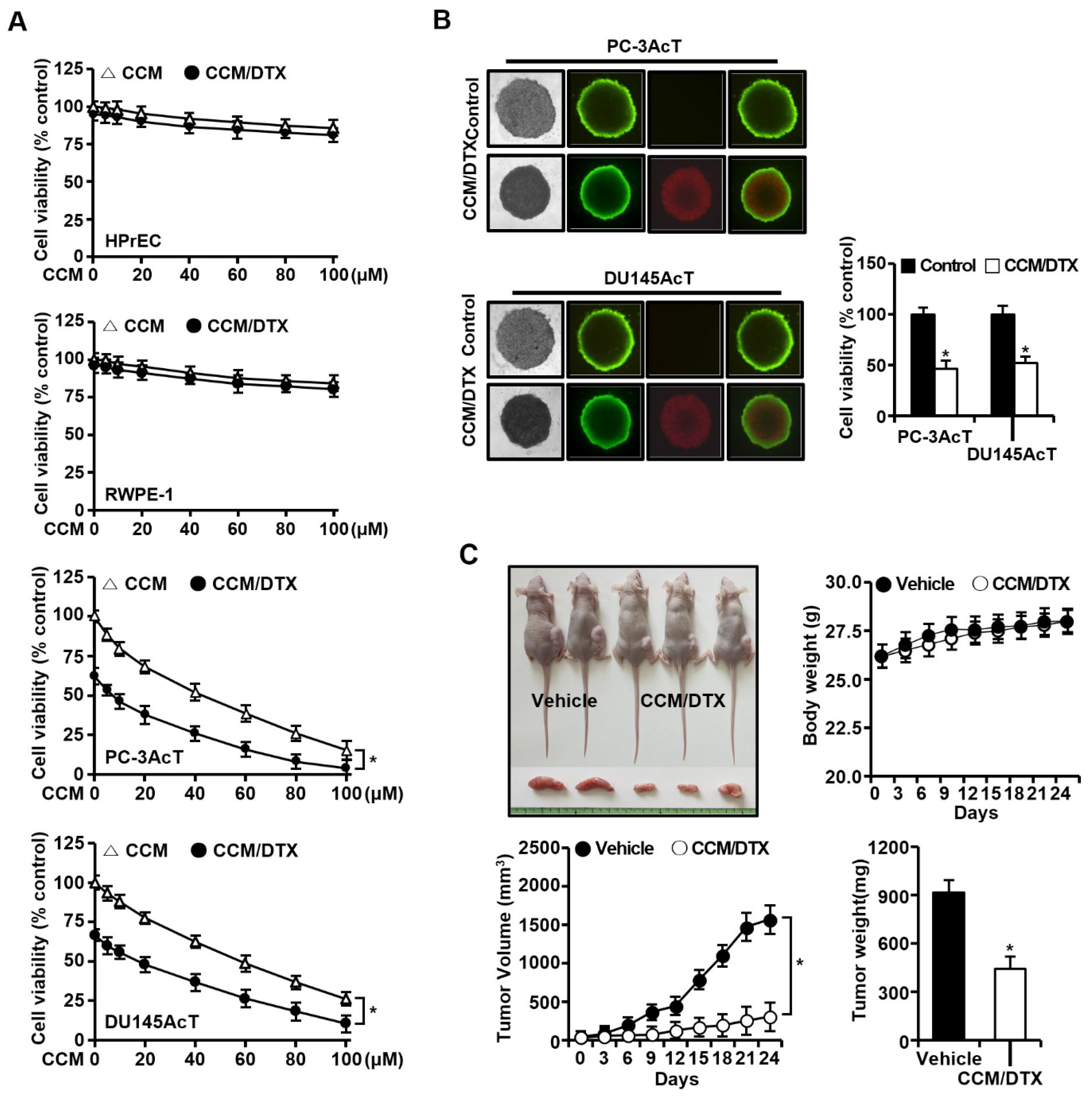 Nutrients 16 04338 g005