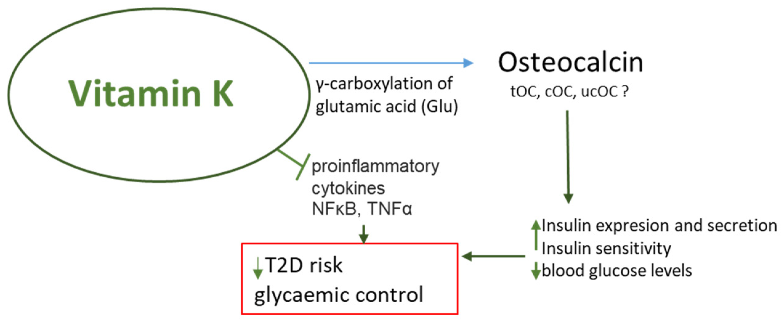 Nutrients 16 04341 g002