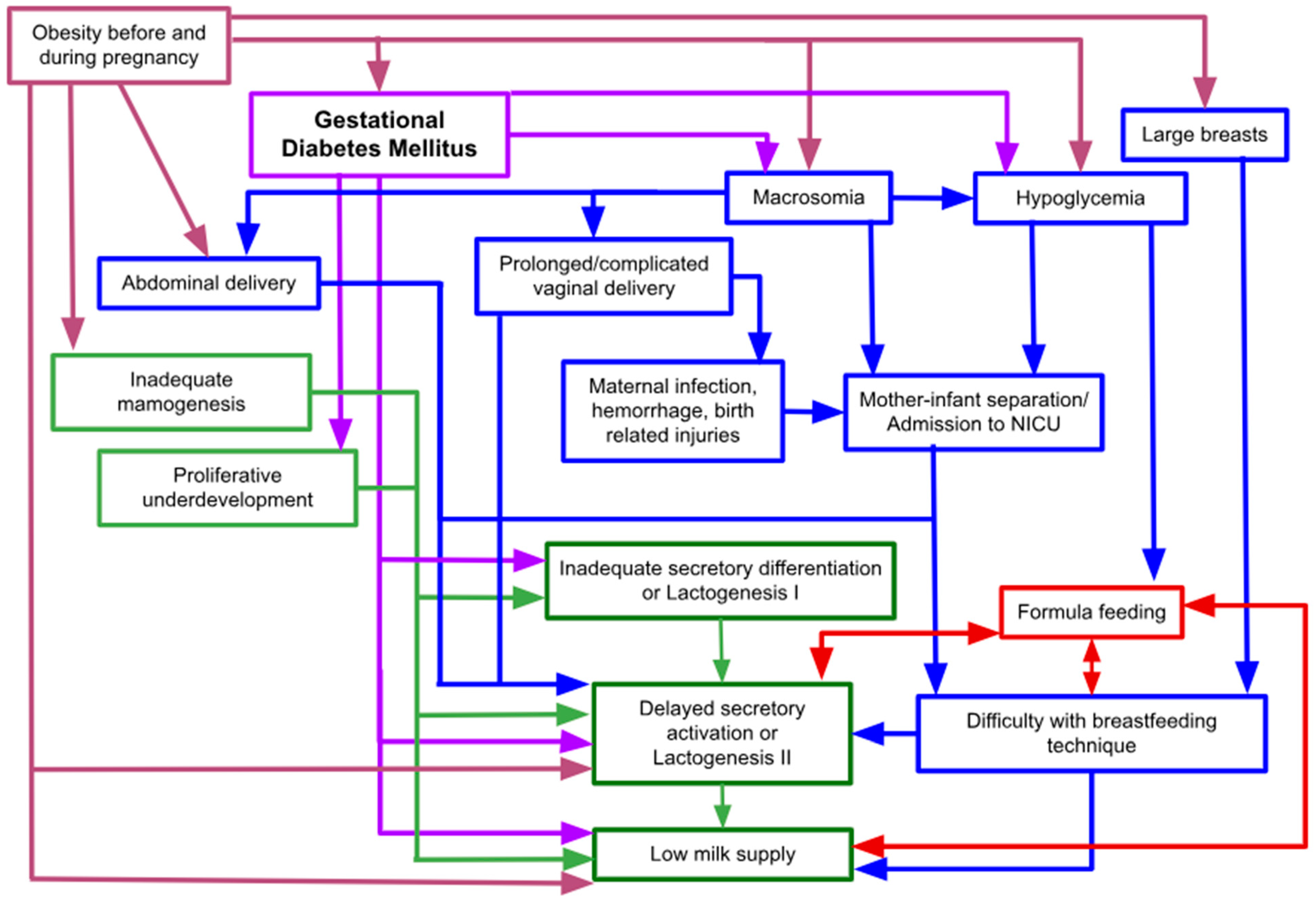 Nutrients 16 04346 g001