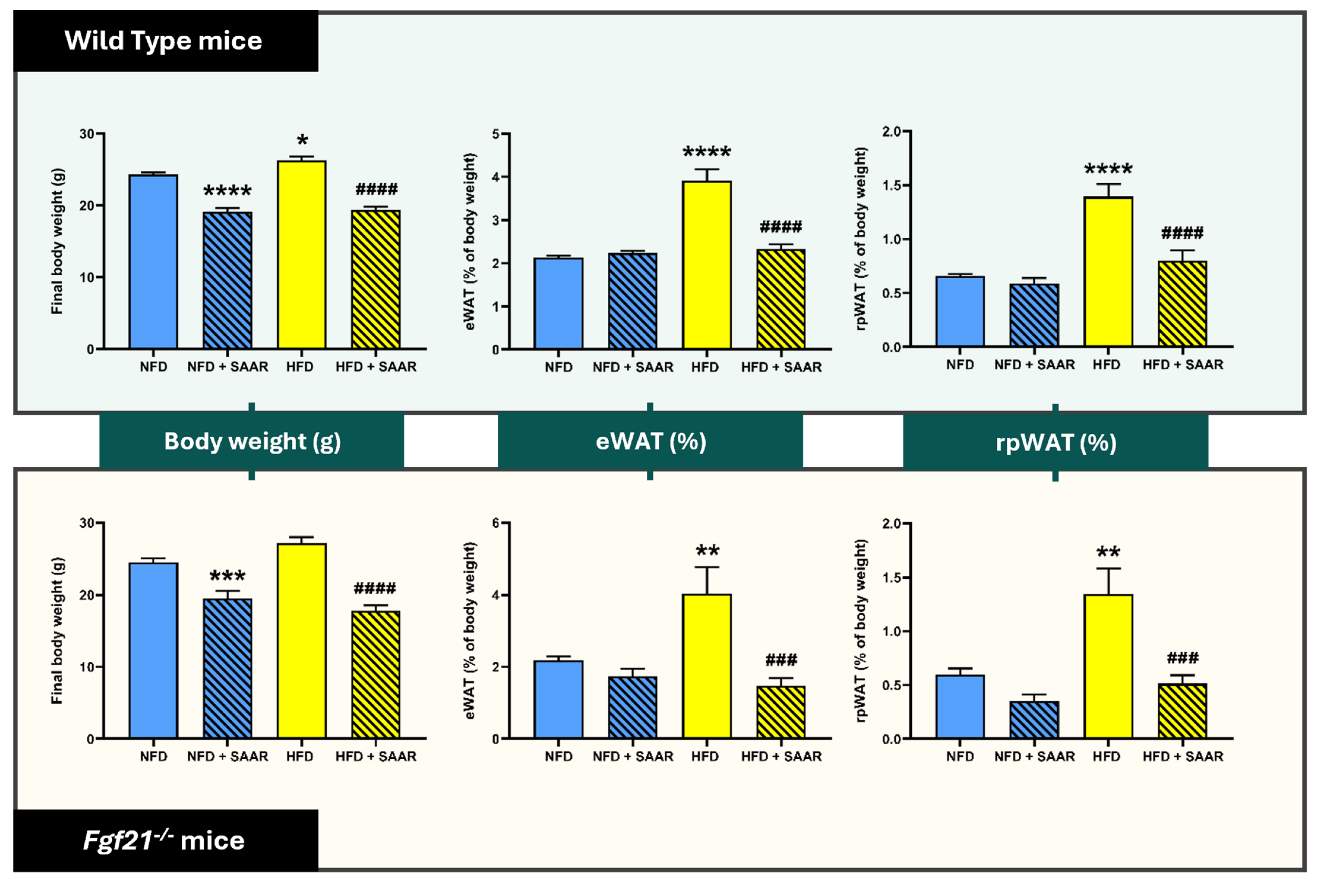 Nutrients 16 04347 g001