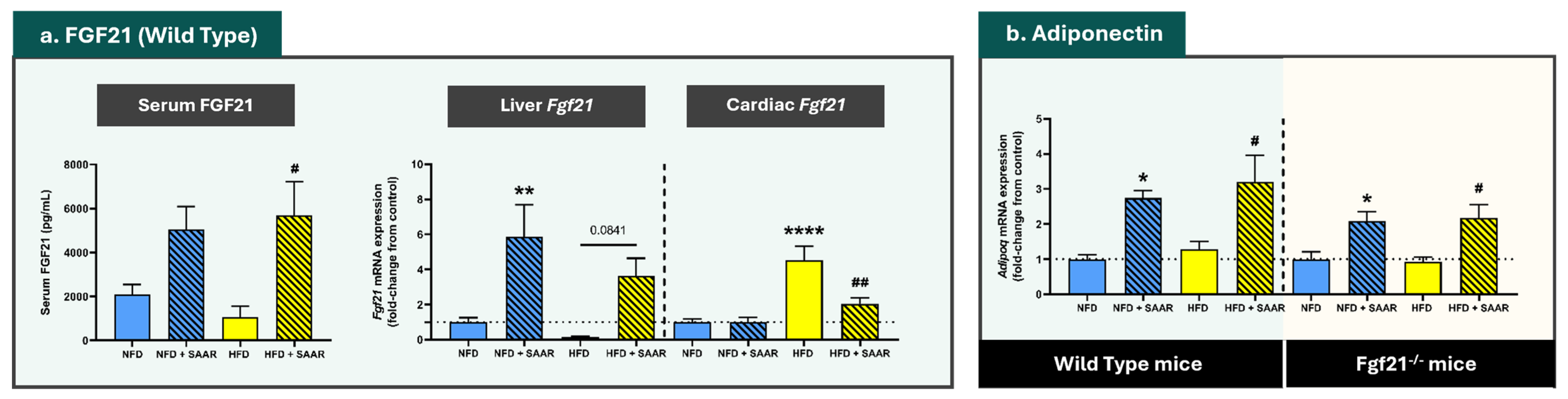 Nutrients 16 04347 g002
