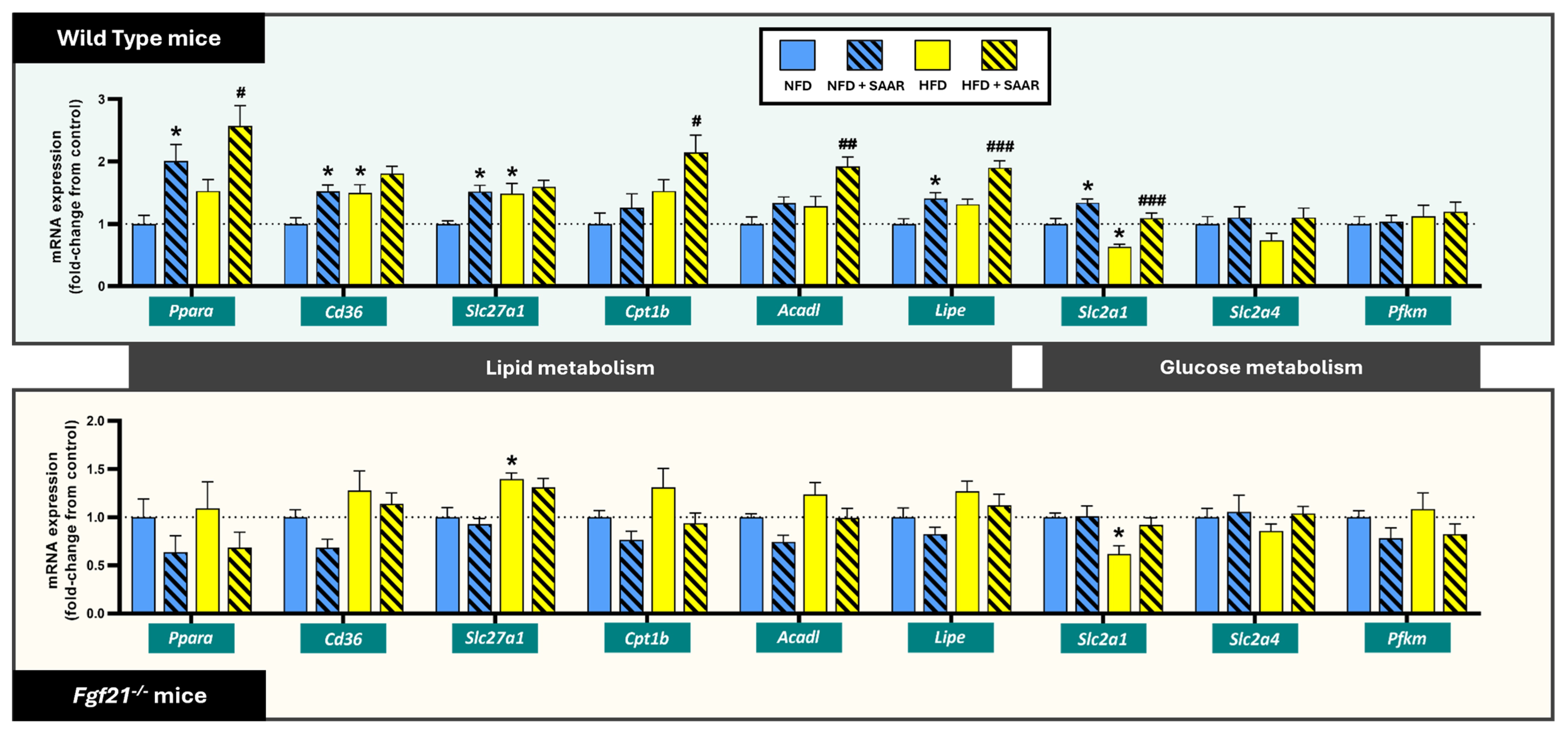 Nutrients 16 04347 g004