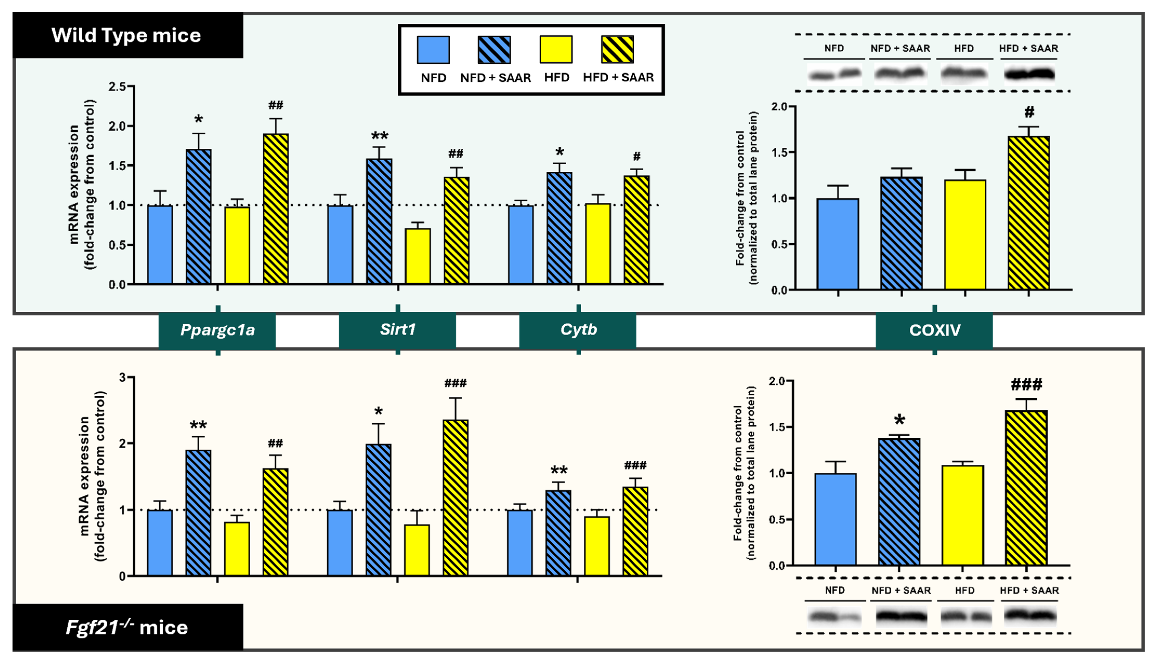 Nutrients 16 04347 g005