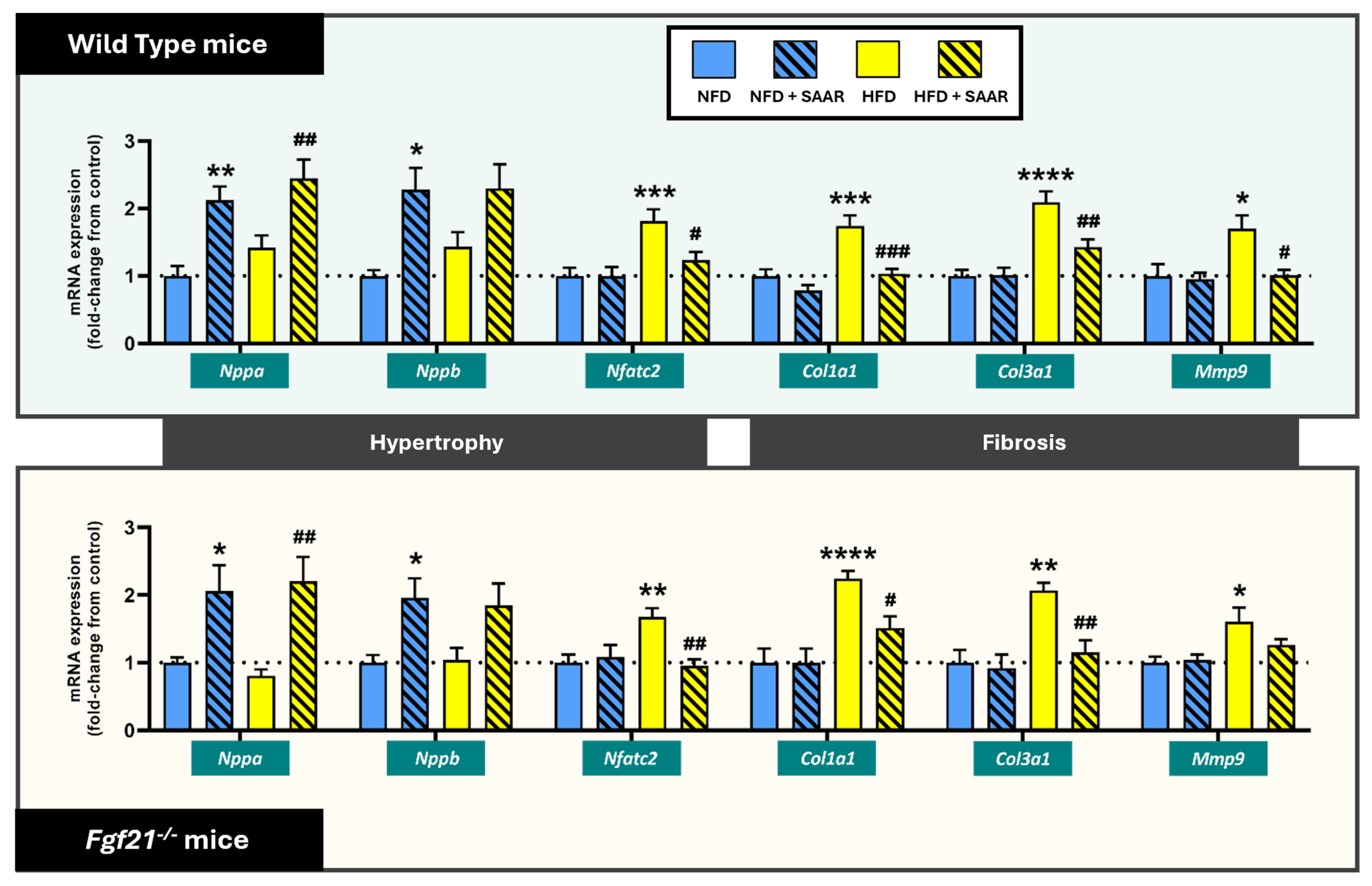 Nutrients 16 04347 g007